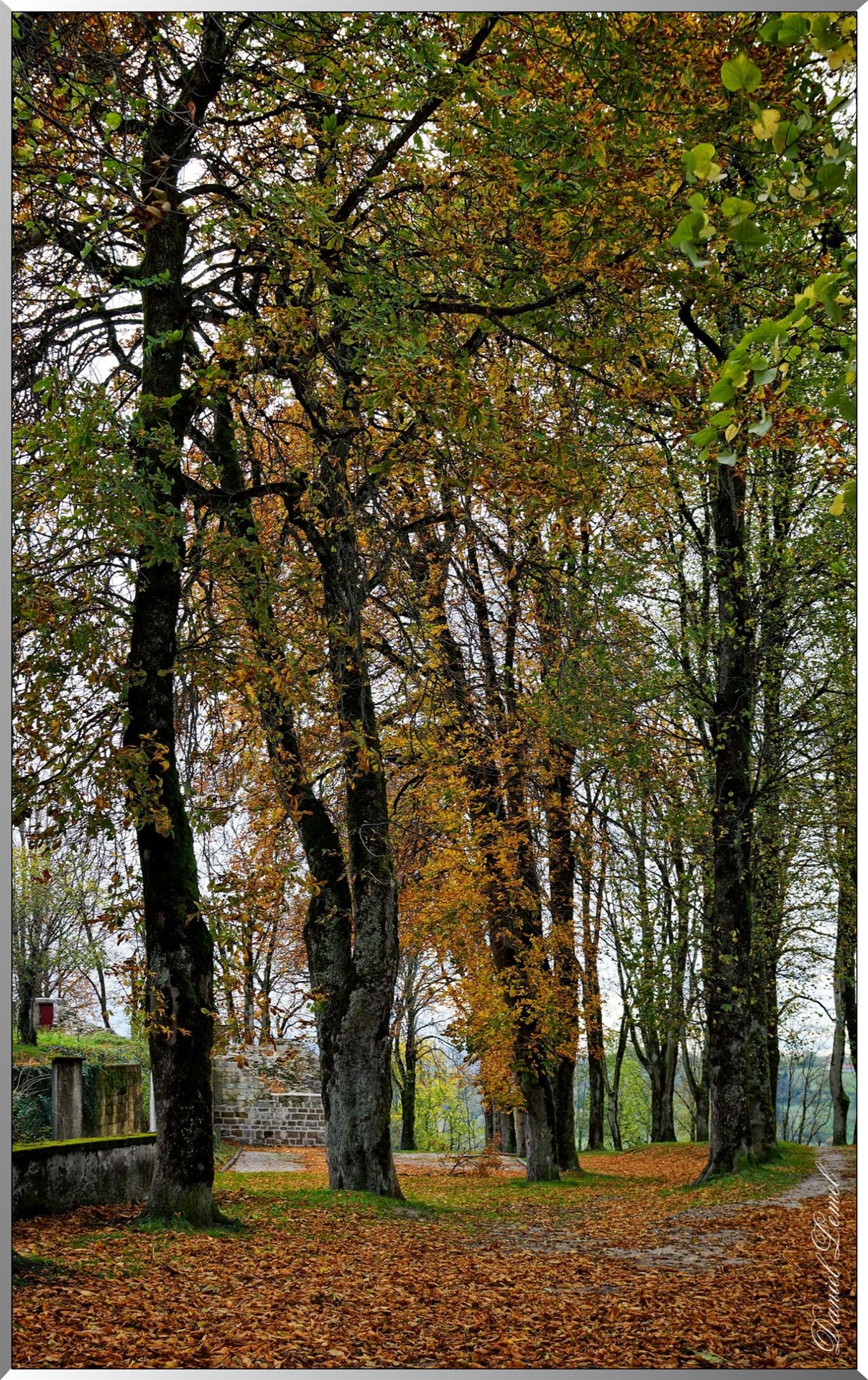  DSC0008