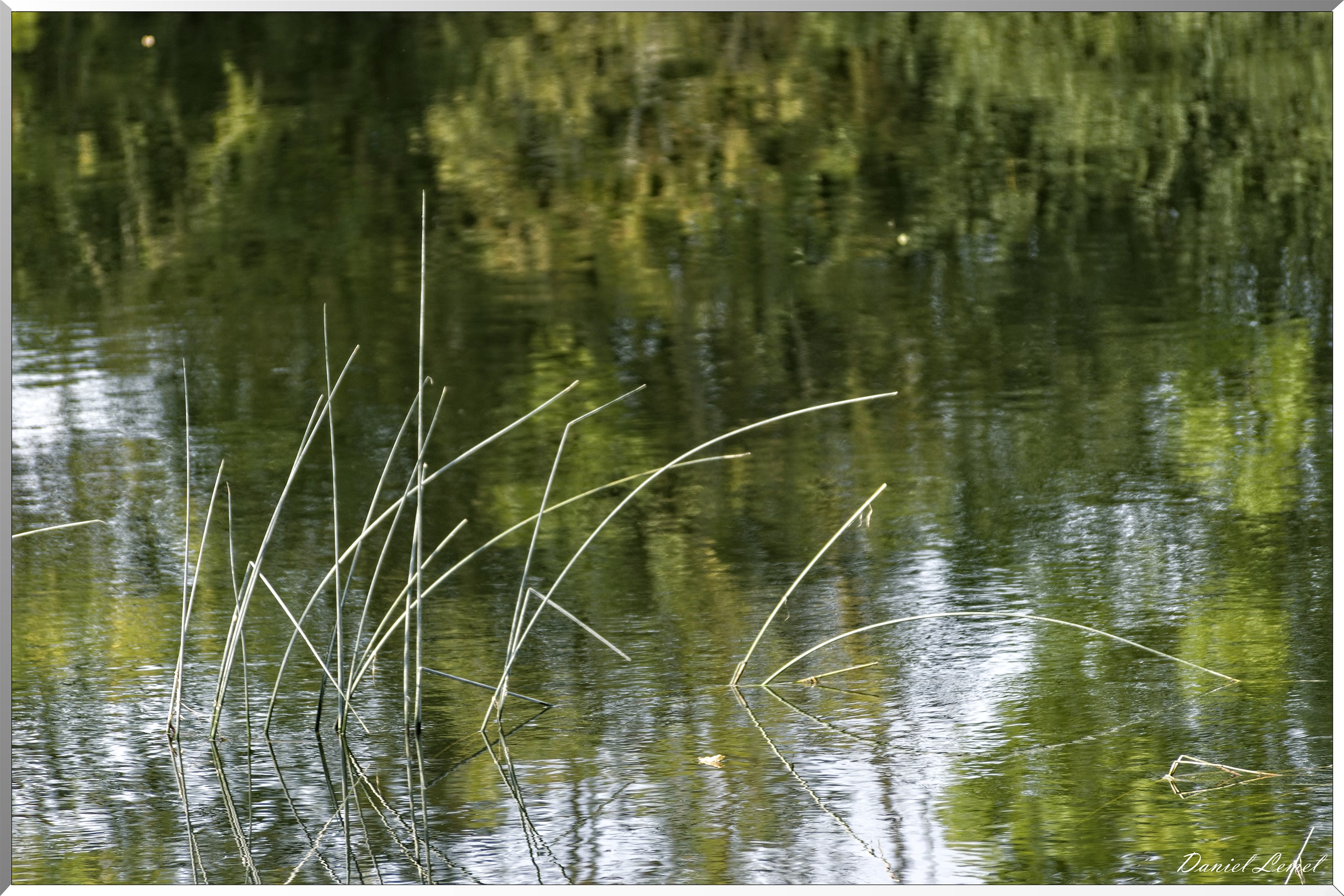 Herbes