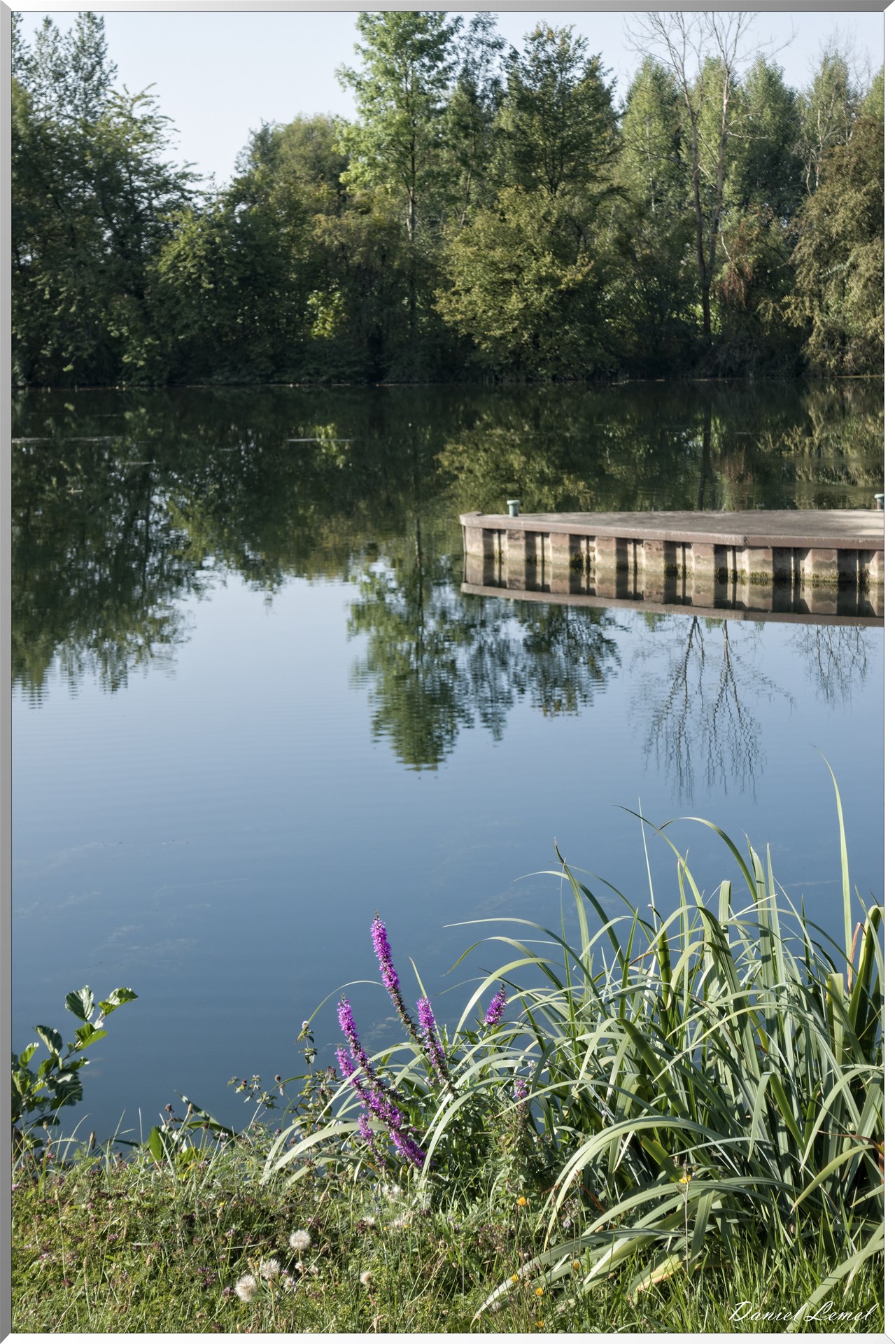 L'Yonne