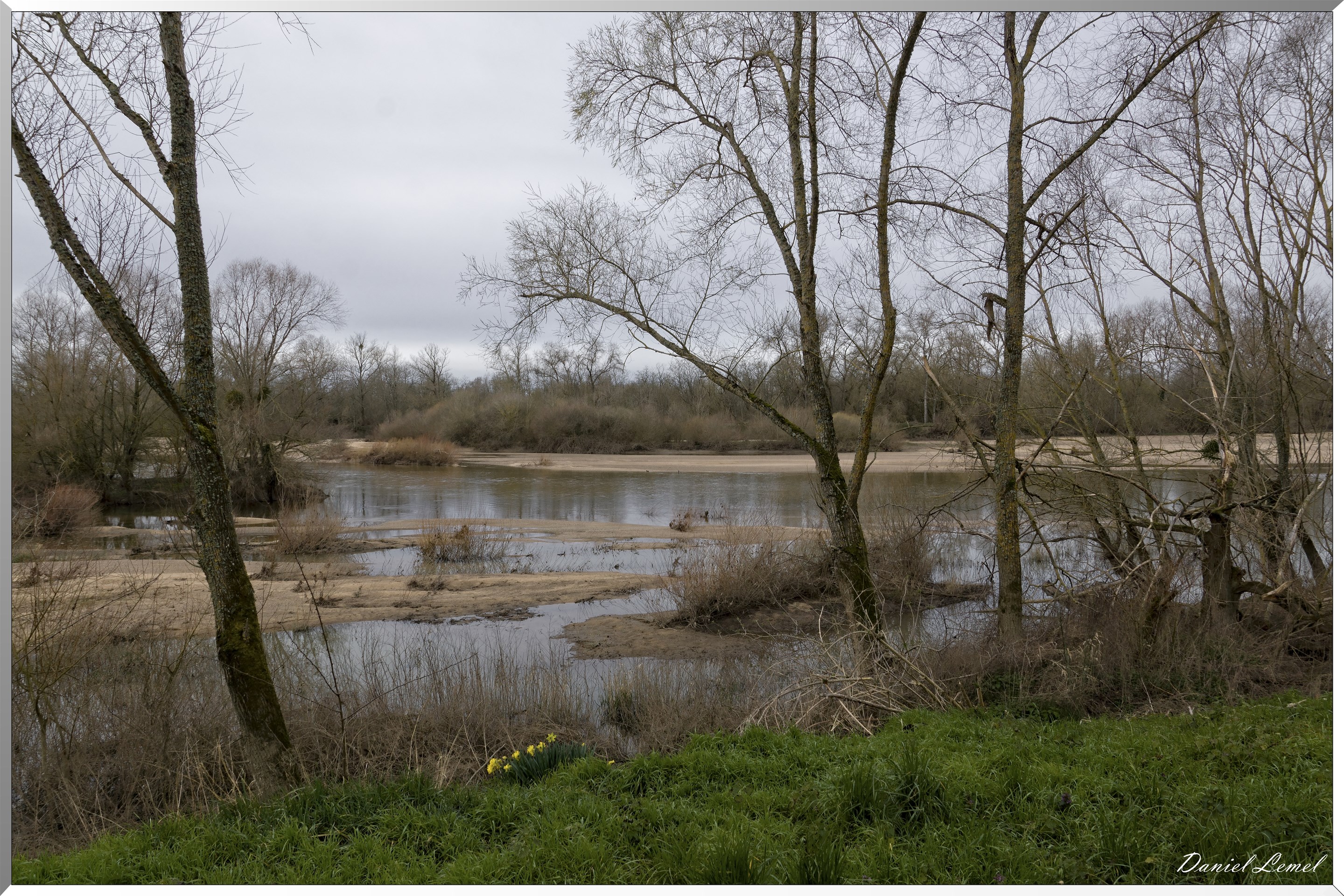 Bord de Loire