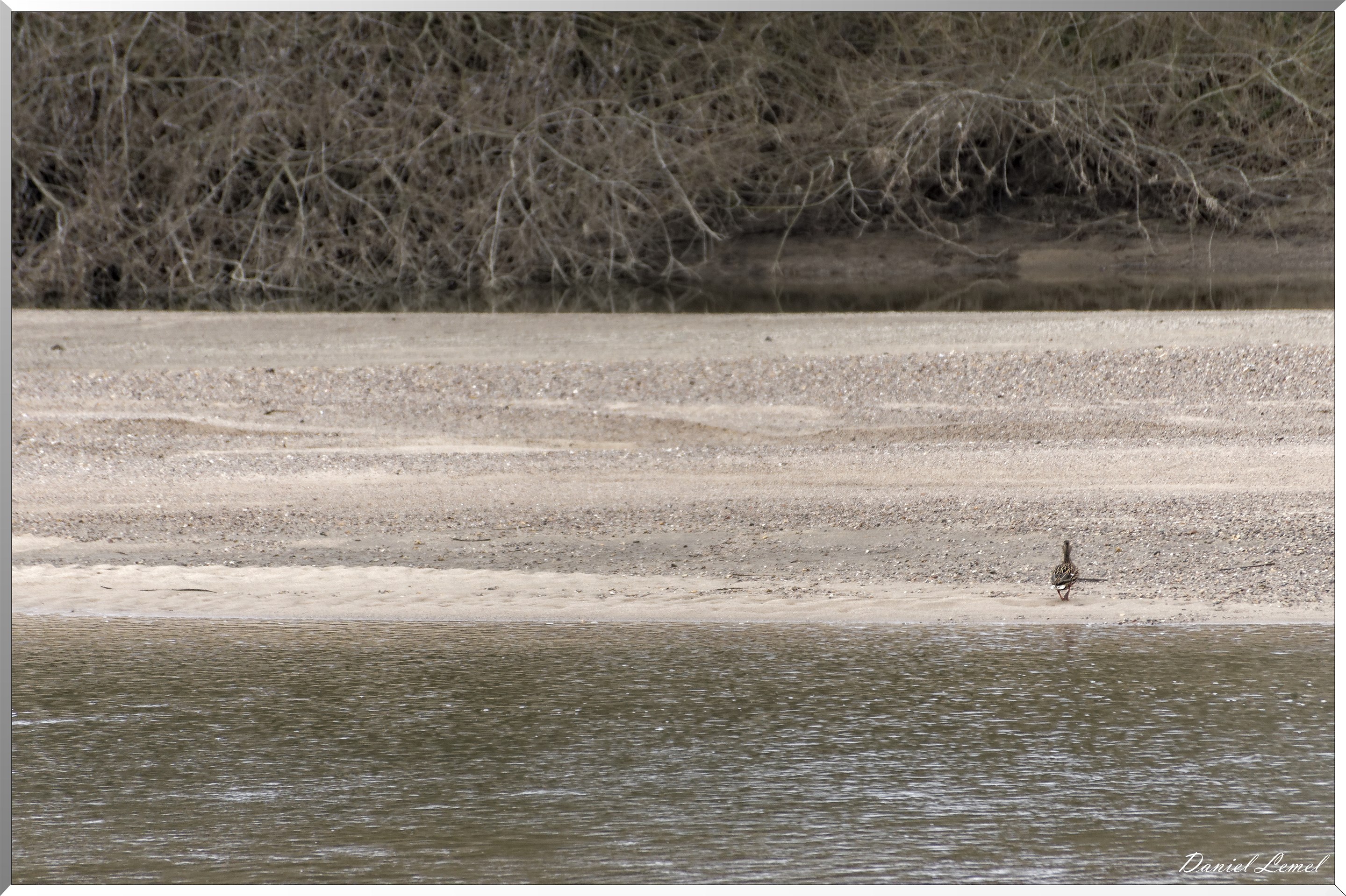 Bord de Loire