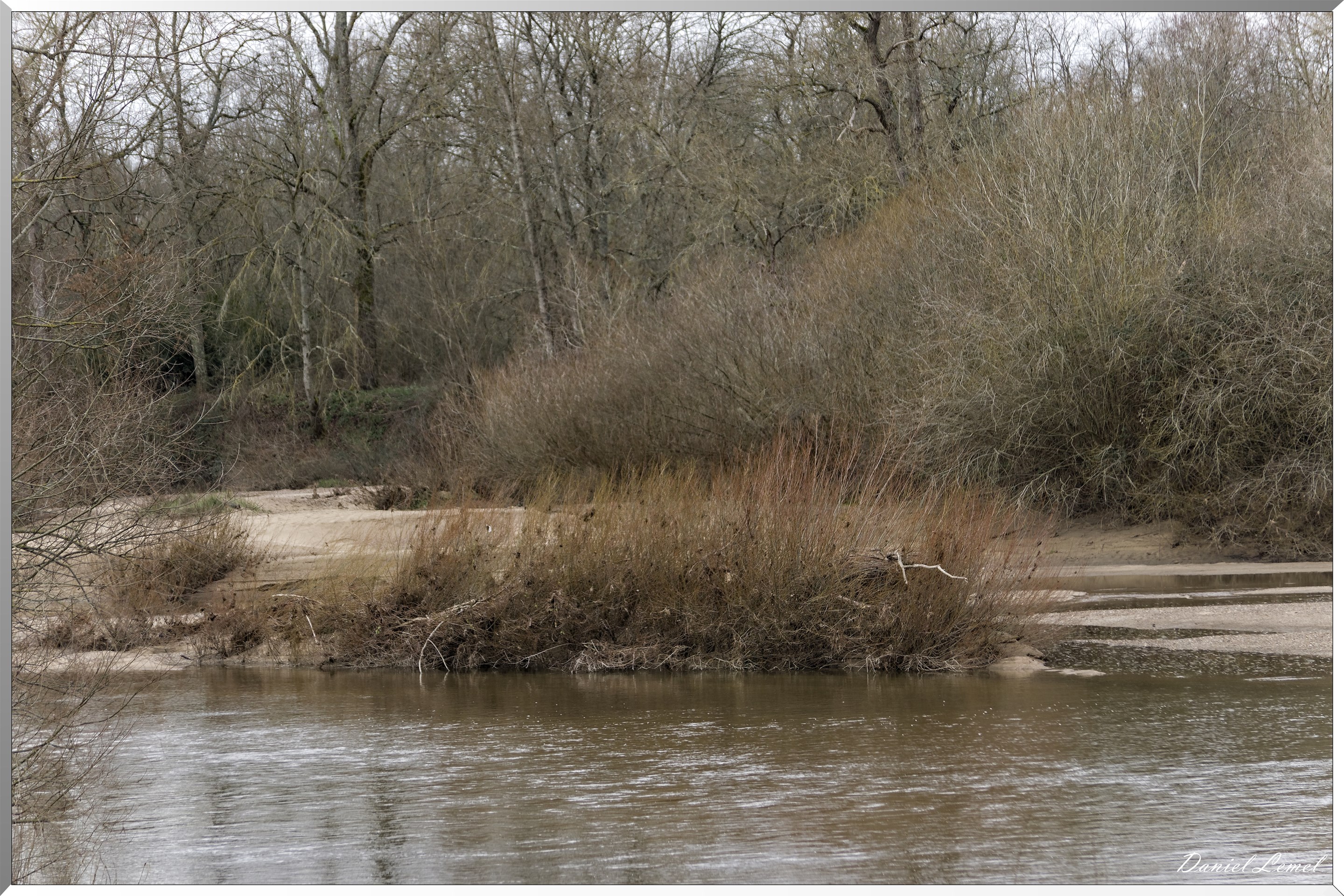 Bord de Loire