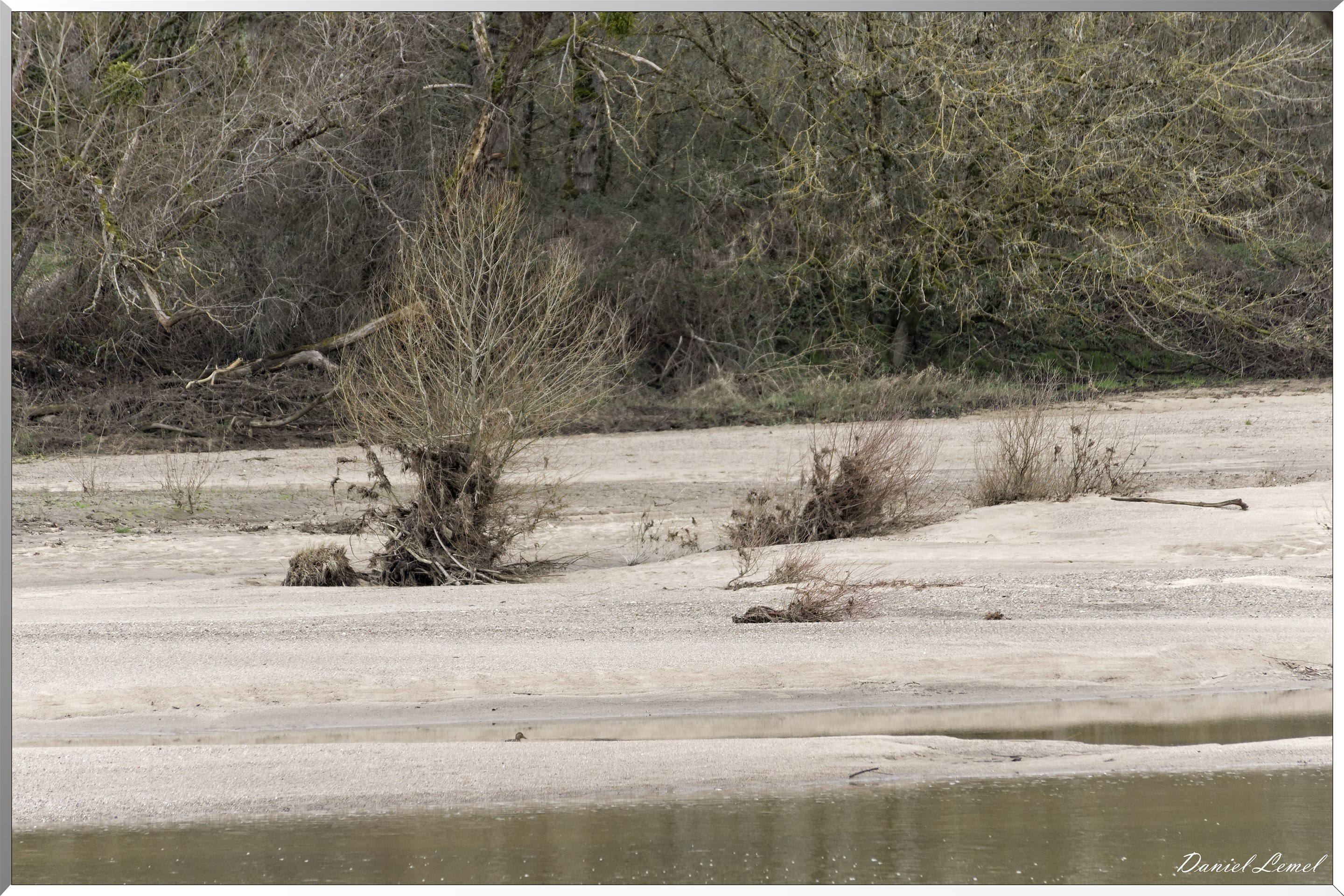 Bord de Loire