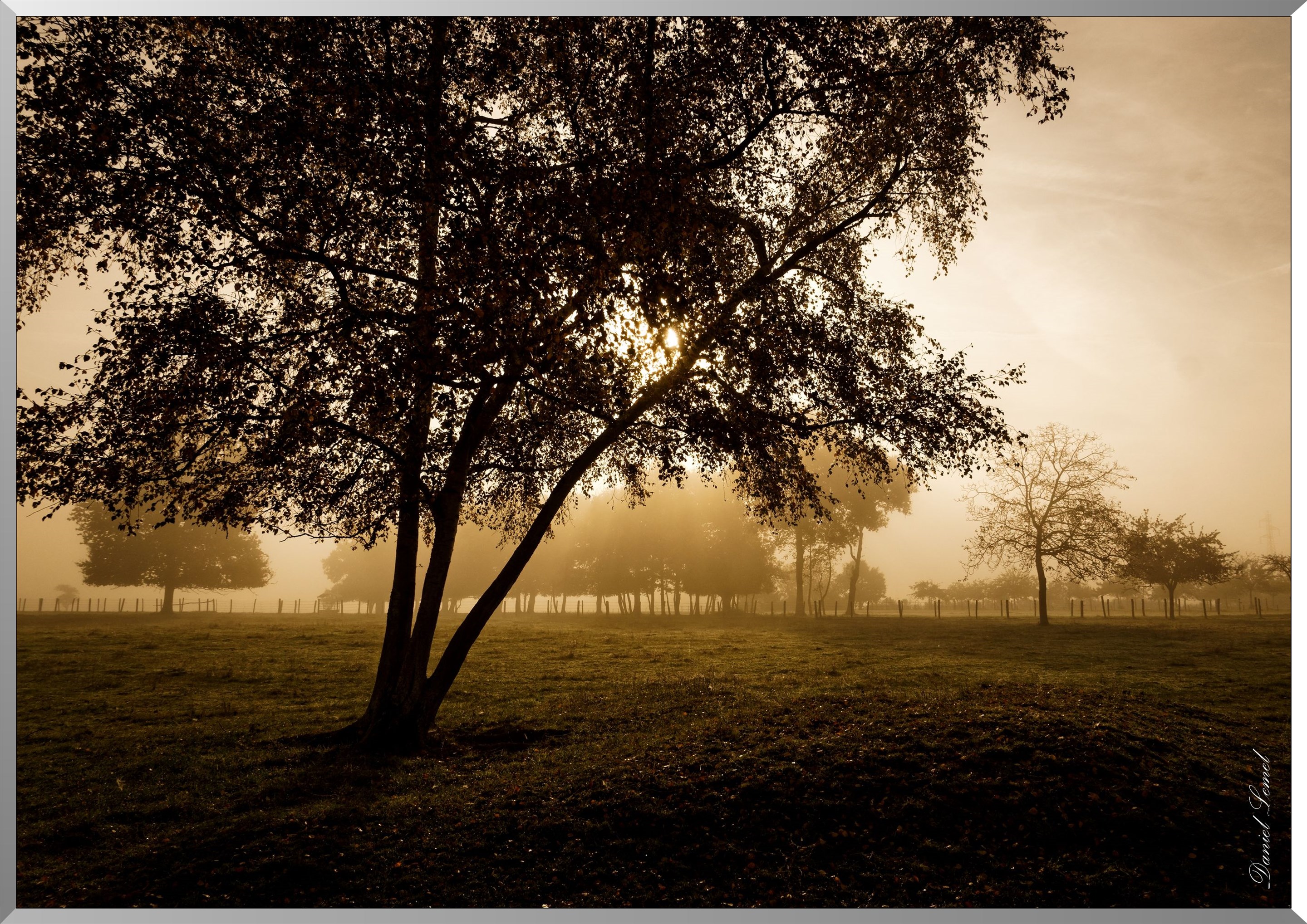 Saint-Pierre la Garenne