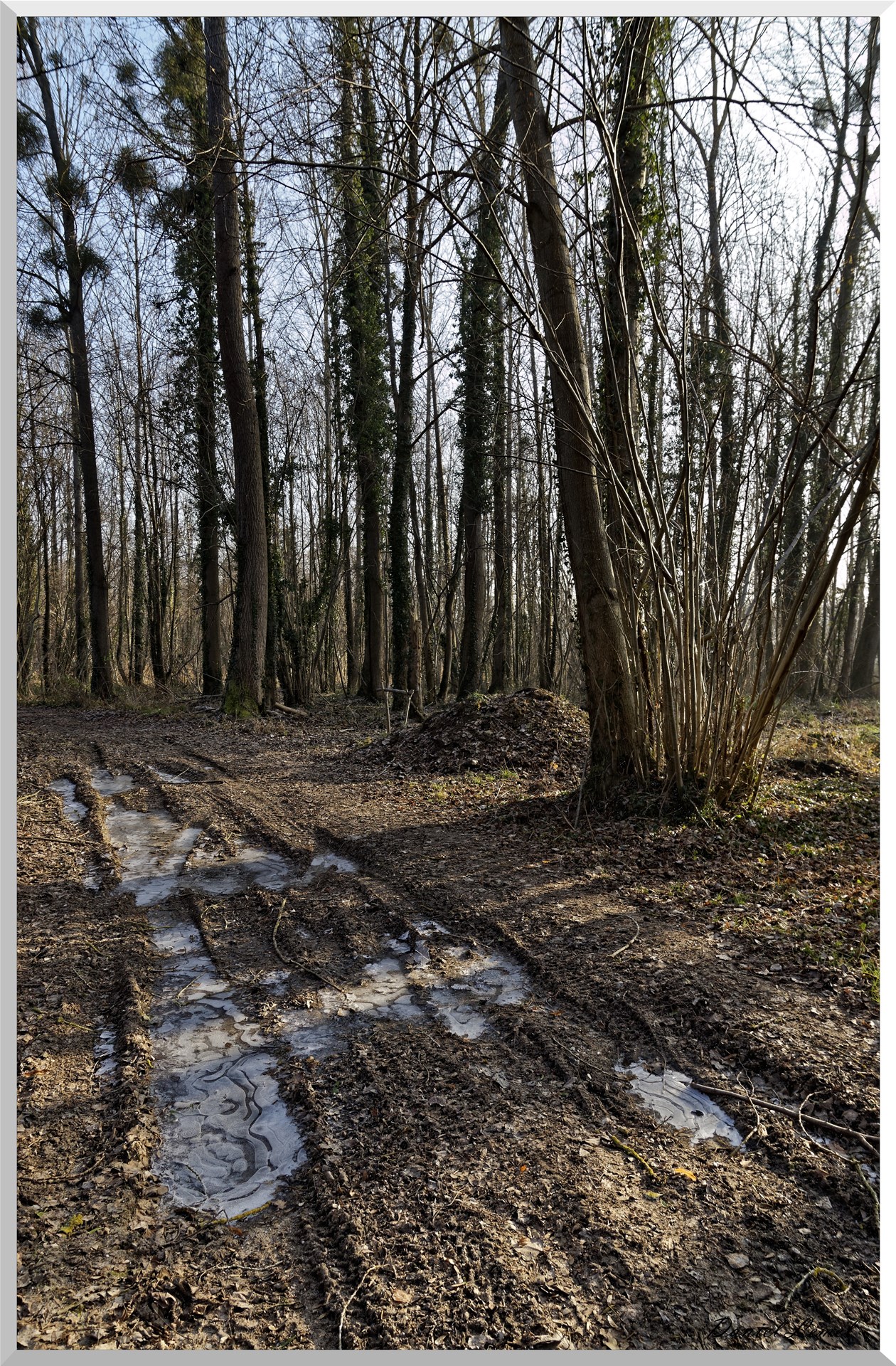 Saint-Geneviève-les-Gasny