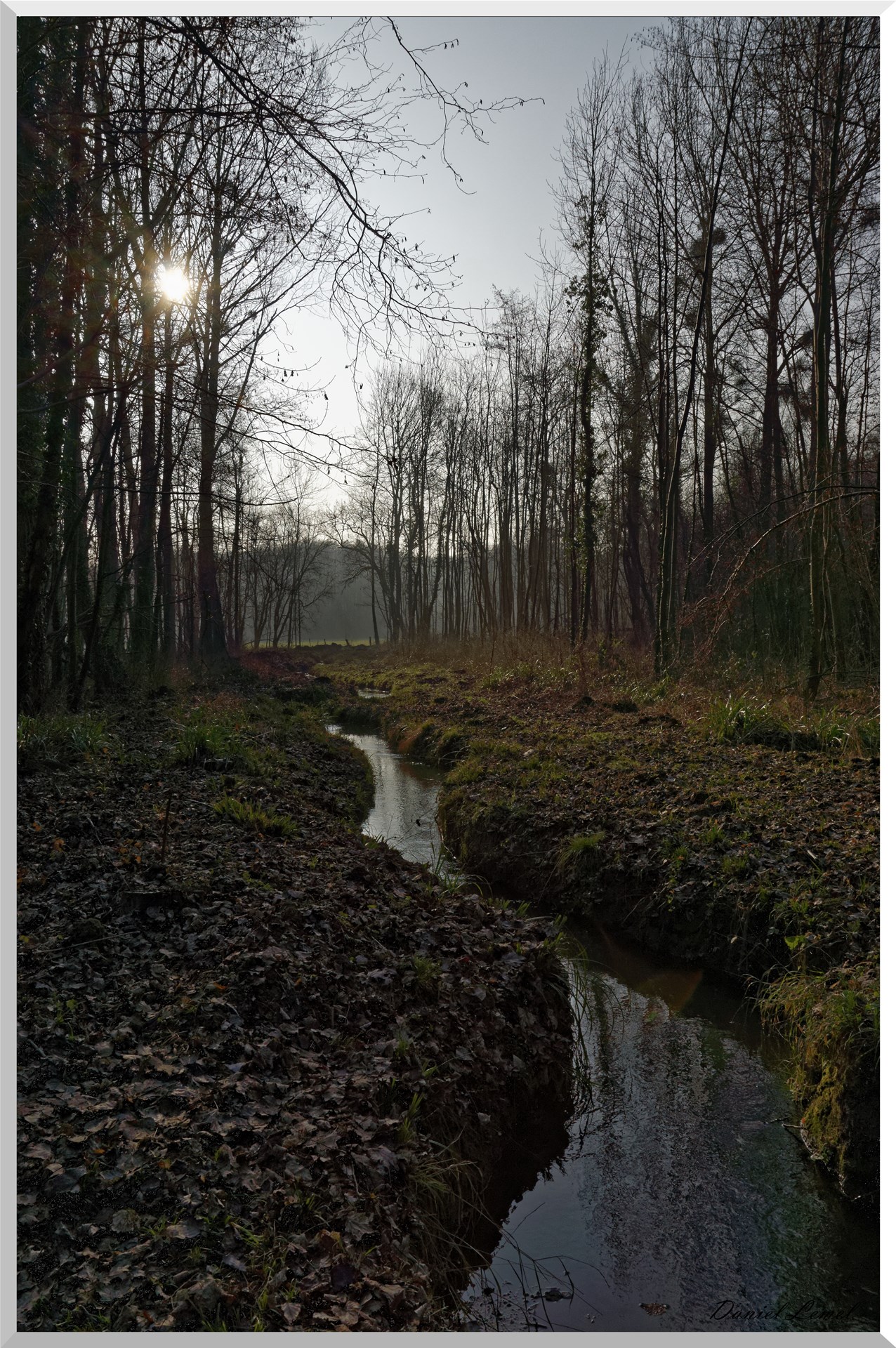 Saint-Geneviève-les-Gasny