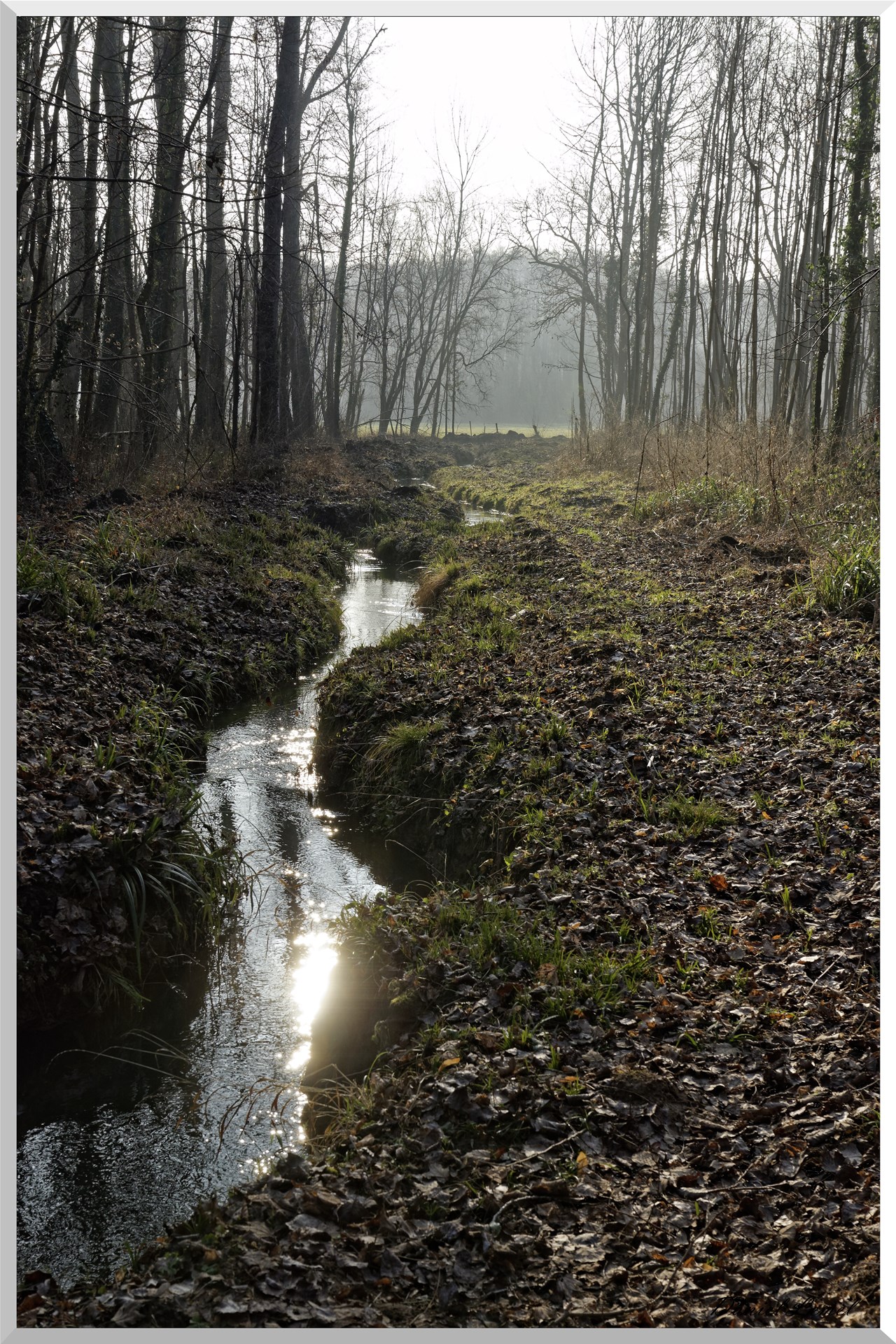 Saint-Geneviève-les-Gasny