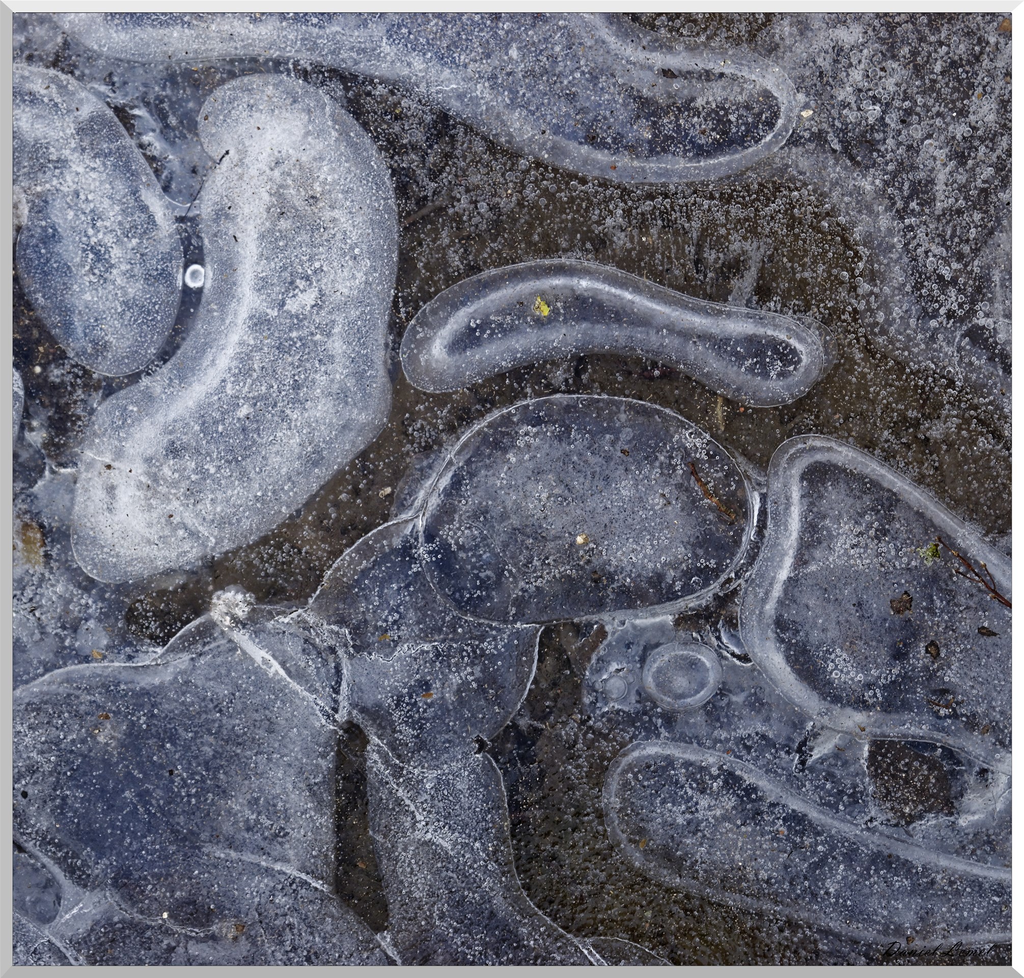 Saint-Geneviève-les-Gasny