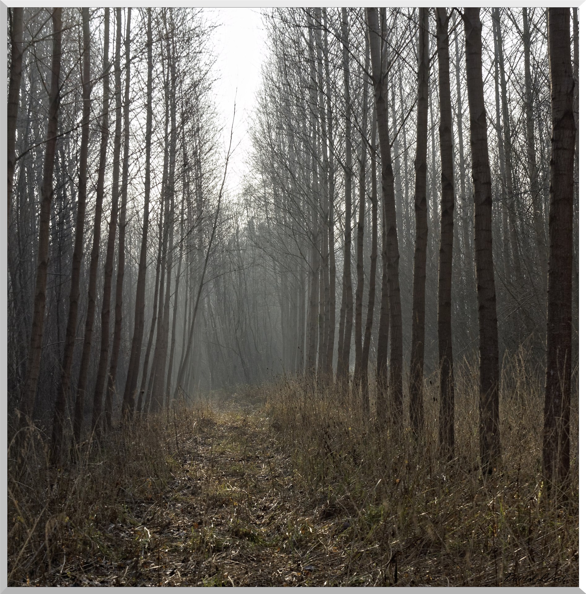 Saint-Geneviève-les-Gasny