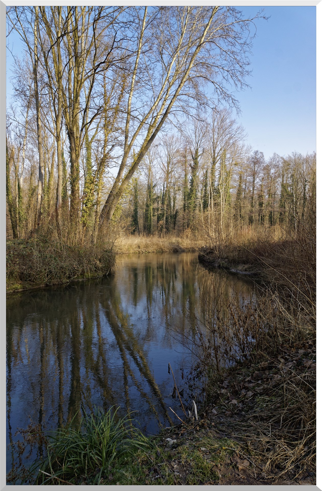 Saint-Geneviève-les-Gasny