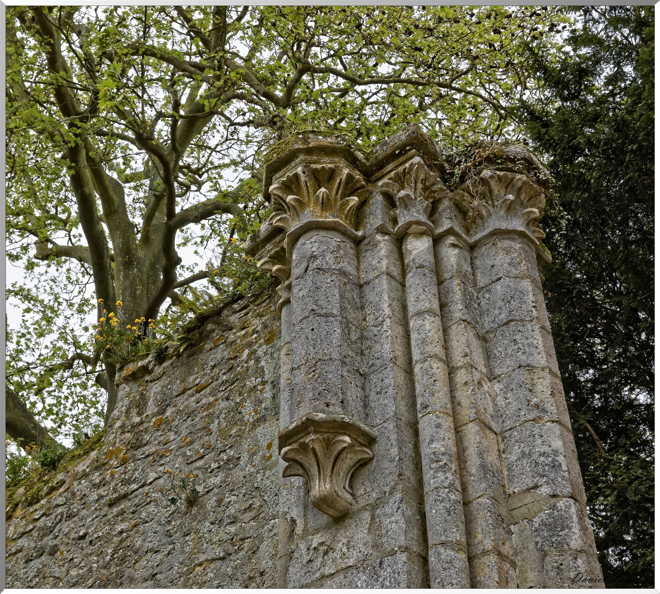 Abbaye de Notre Dame du Trésor