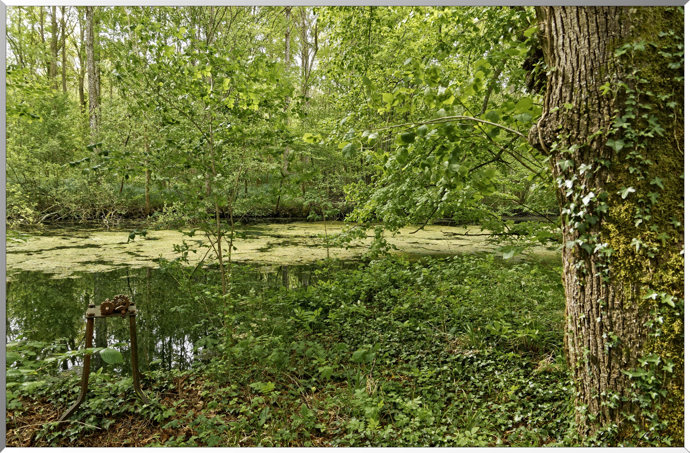 Abbaye de Notre Dame du Trésor
