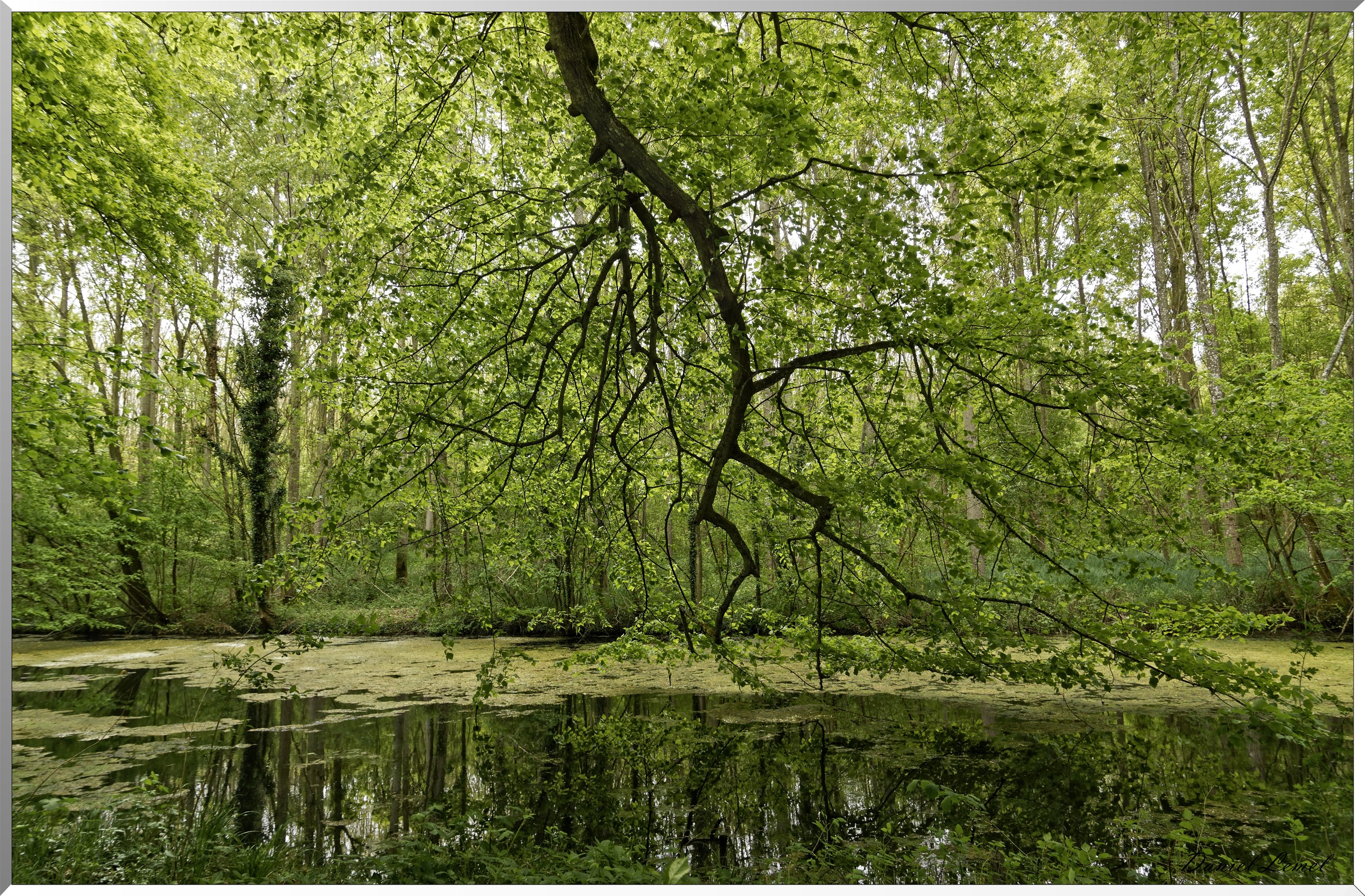 Abbaye de Notre Dame du Trésor