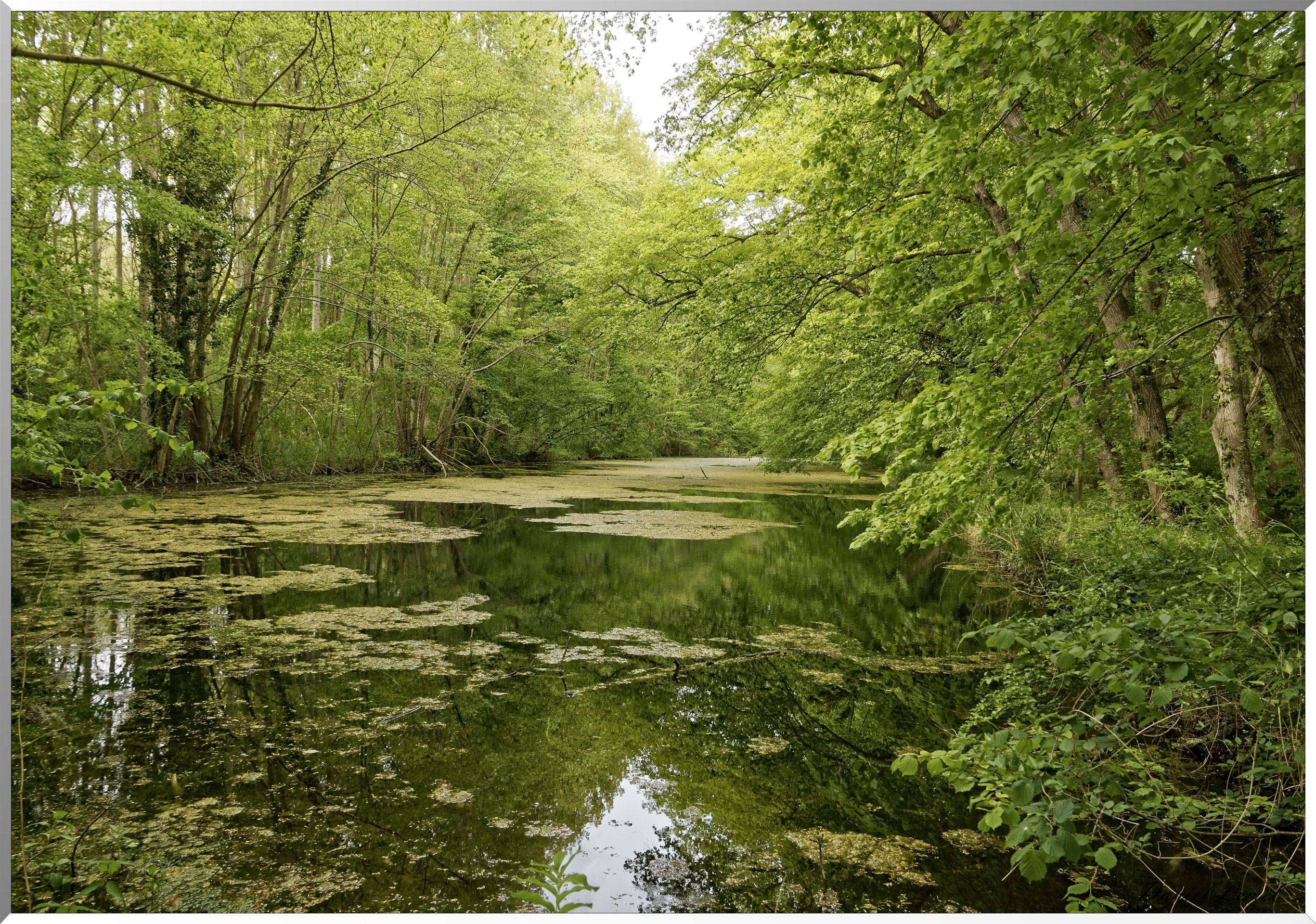 Abbaye de Notre Dame du Trésor