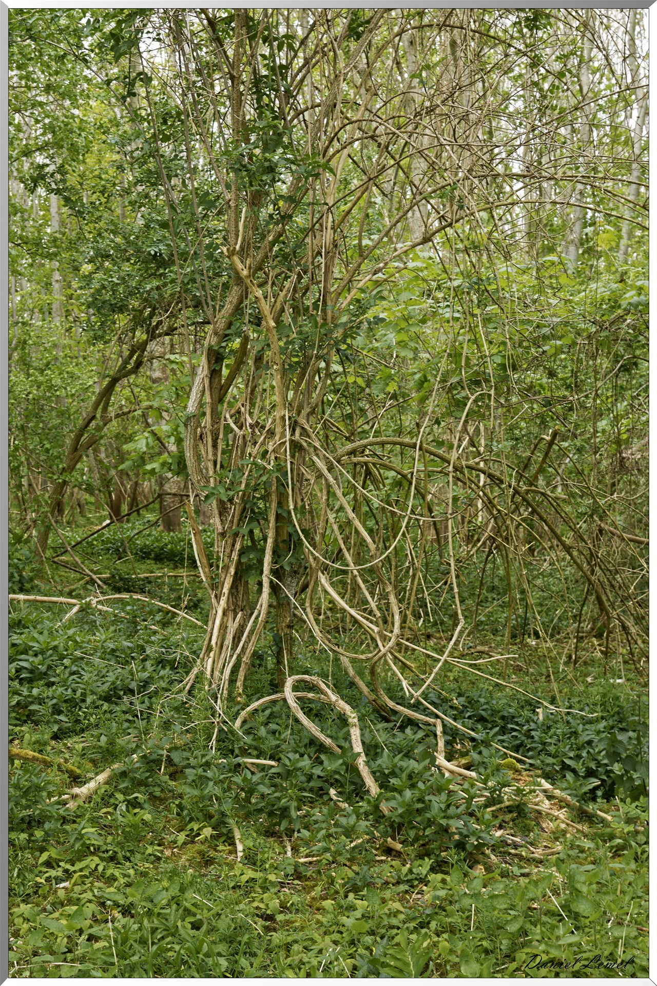 Abbaye de Notre Dame du Trésor