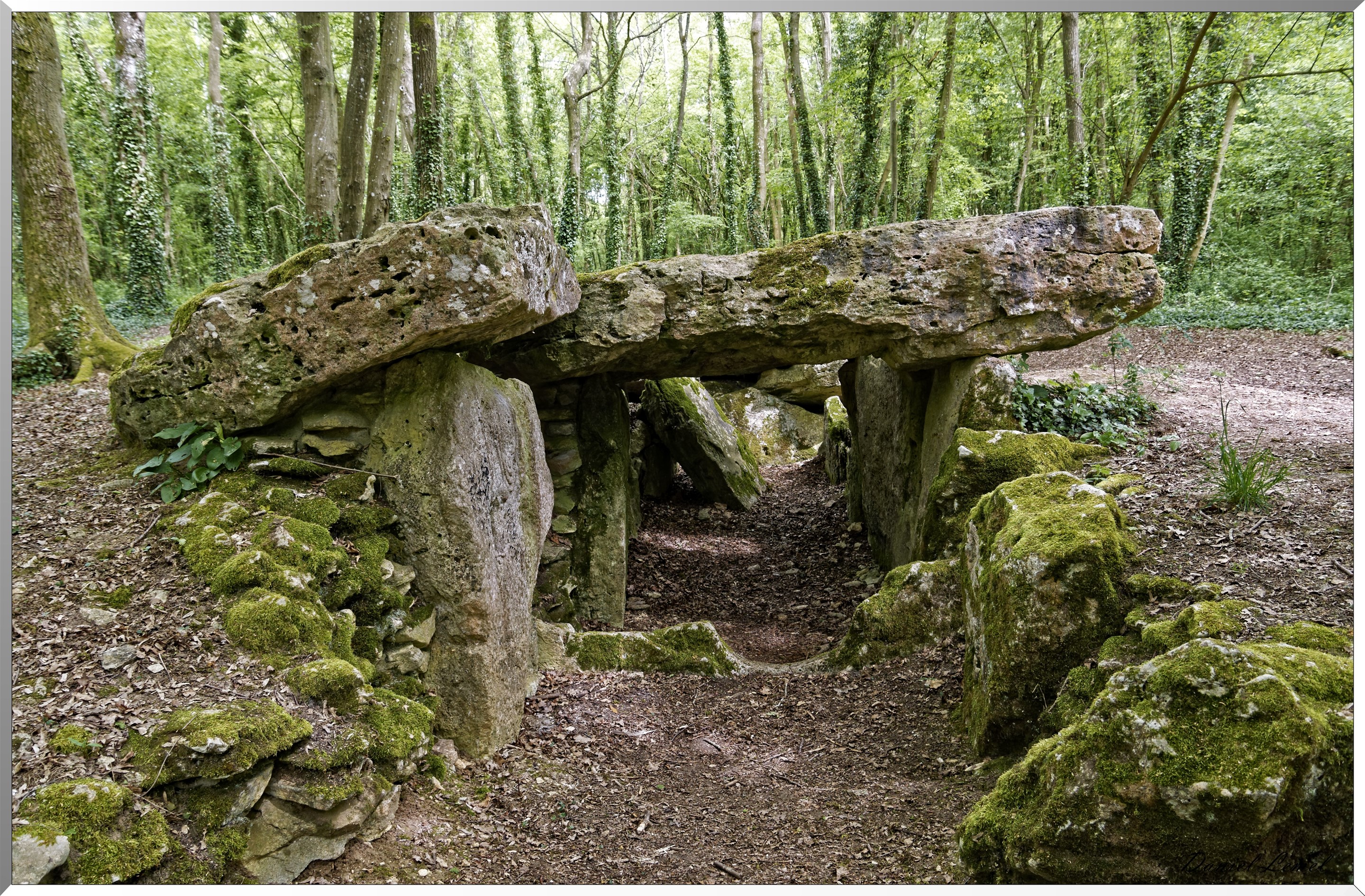 Abbaye de Notre Dame du Trésor