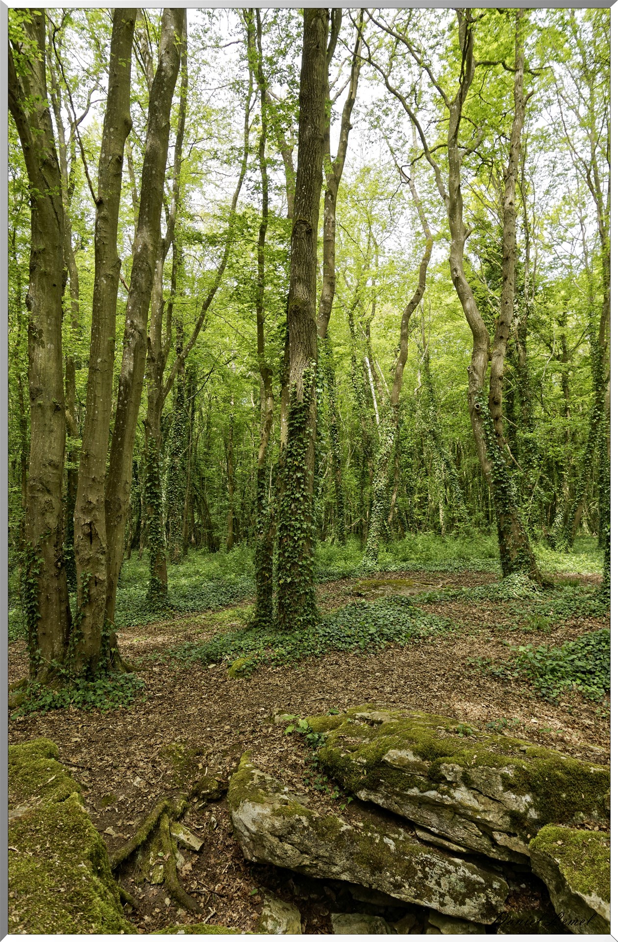 Abbaye de Notre Dame du Trésor