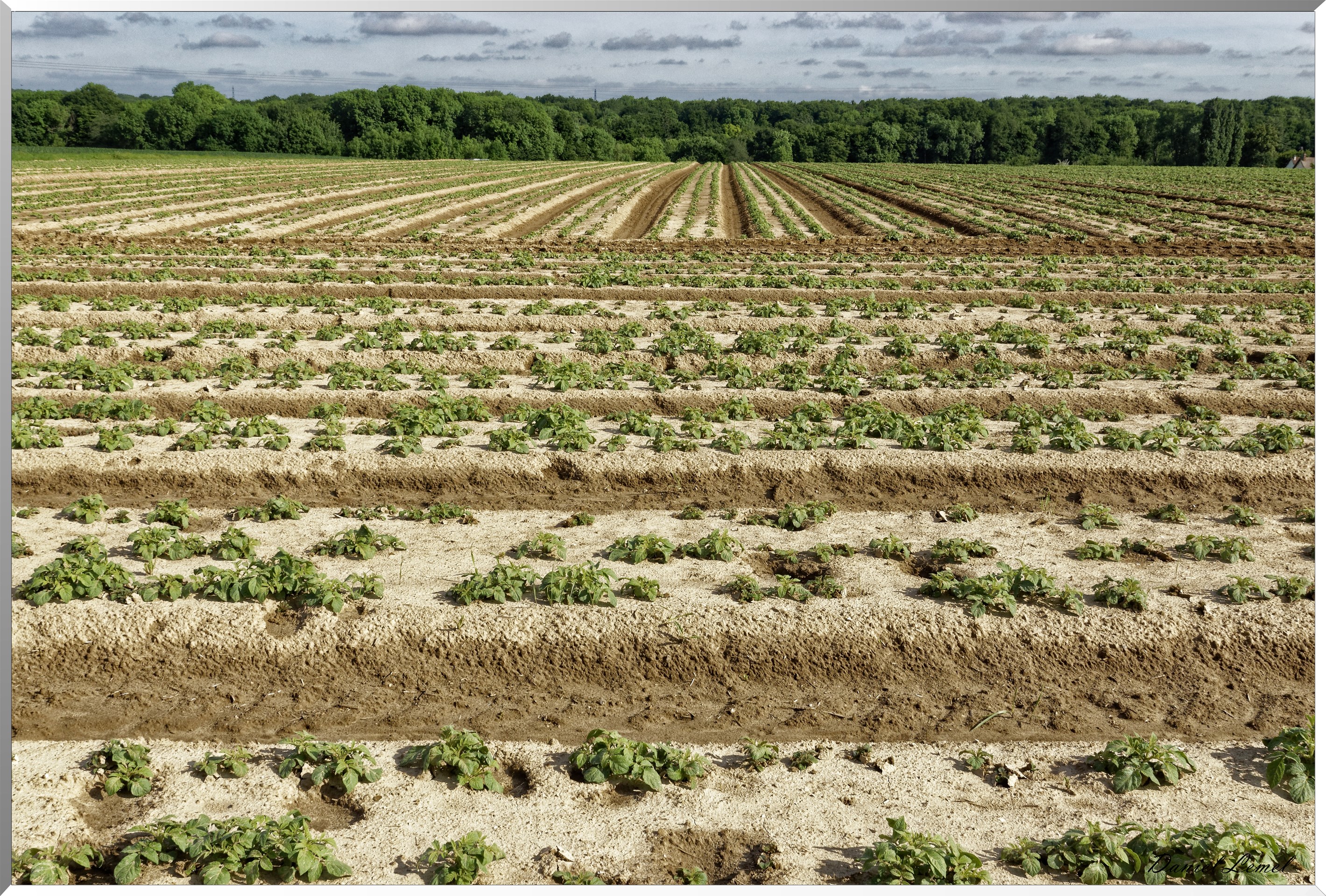 Mézières en Vexin