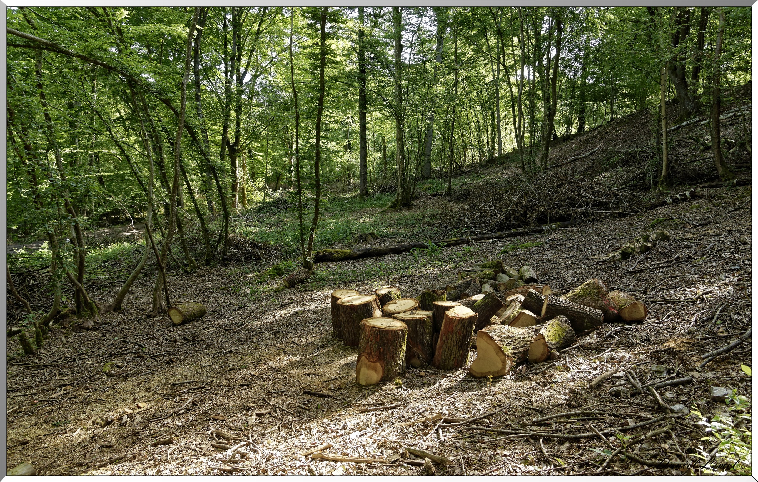 Mézières en Vexin