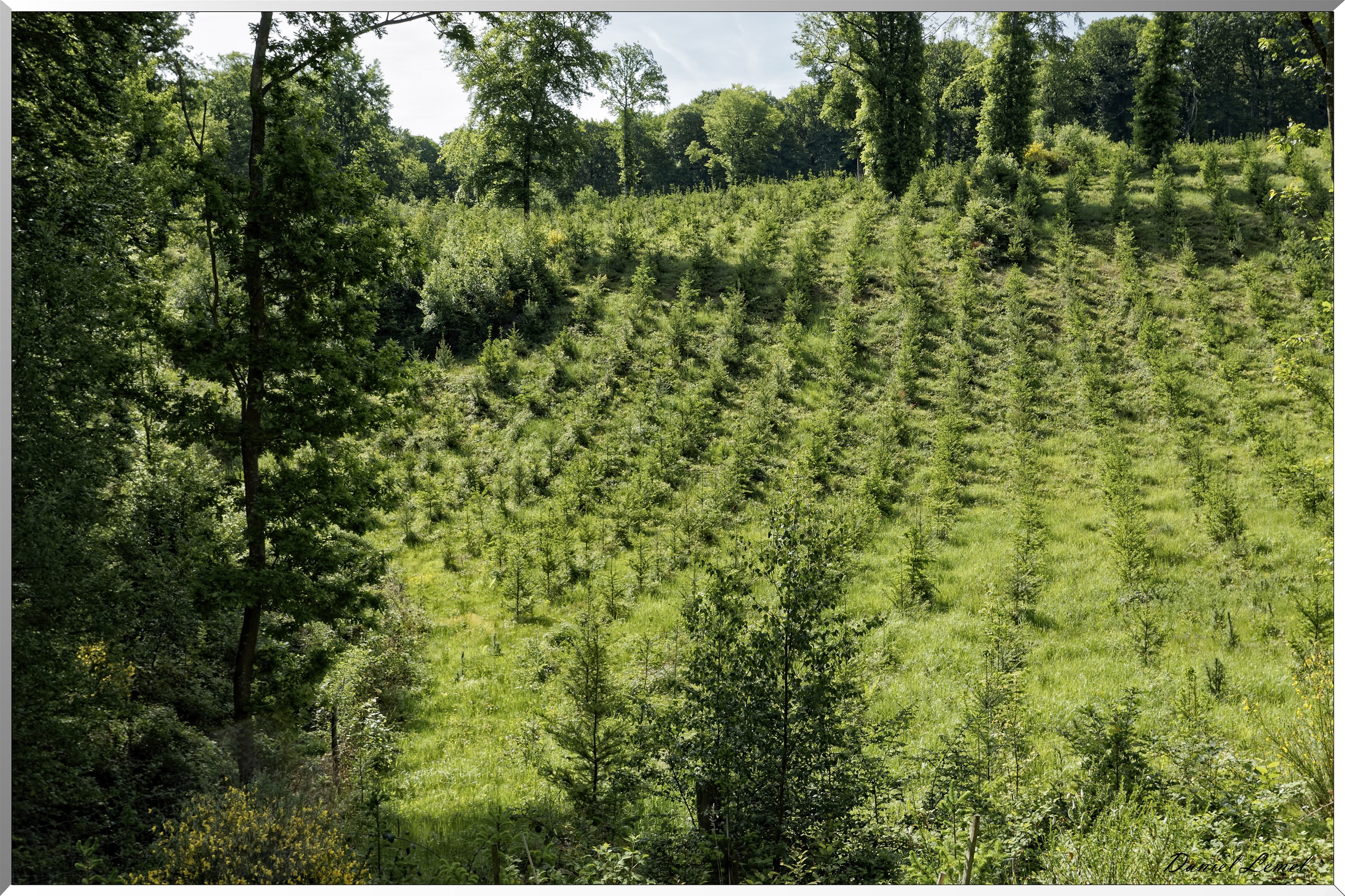Mézières en Vexin
