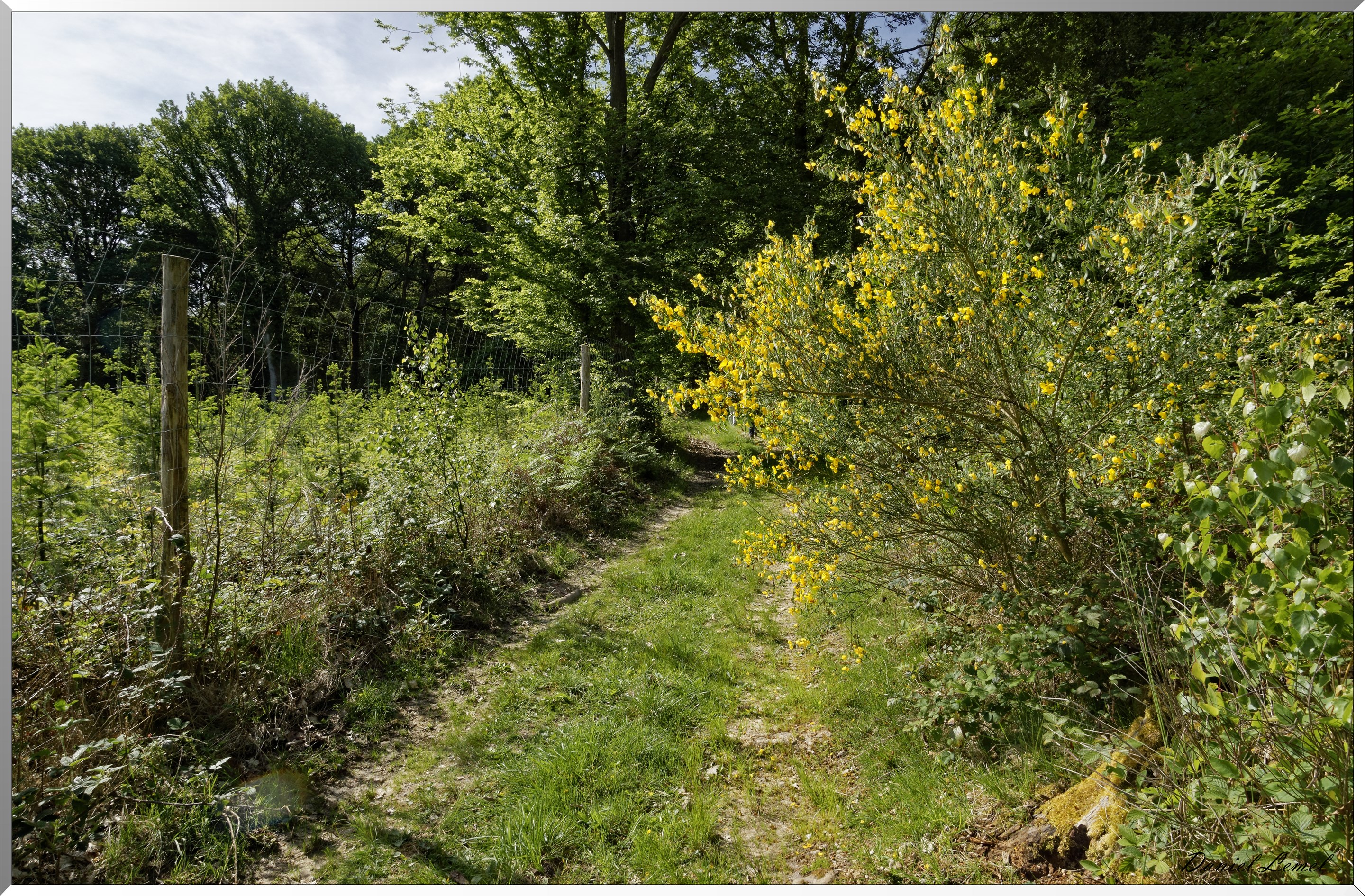 Mézières en Vexin