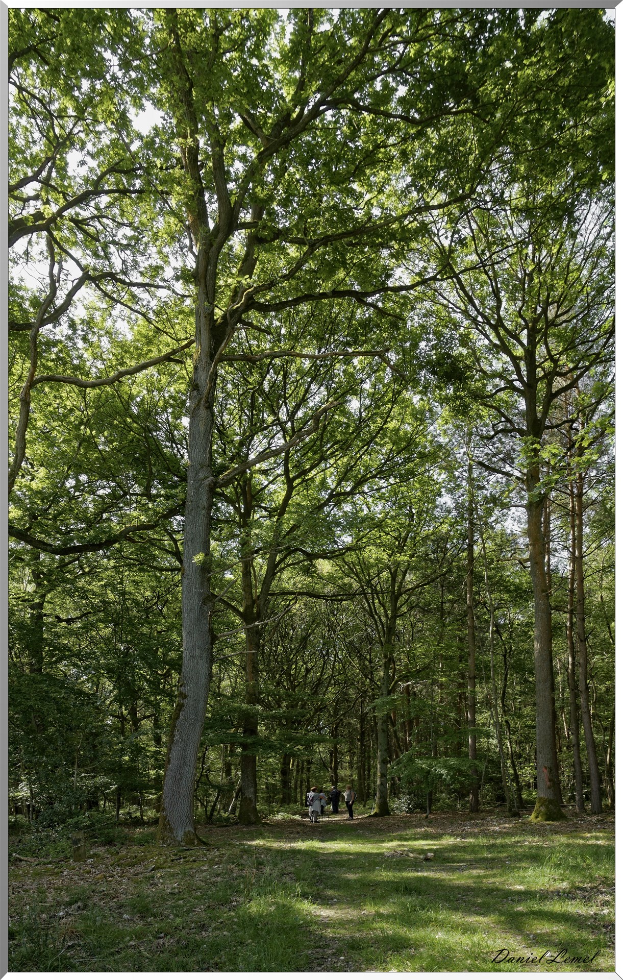 Mézières en Vexin