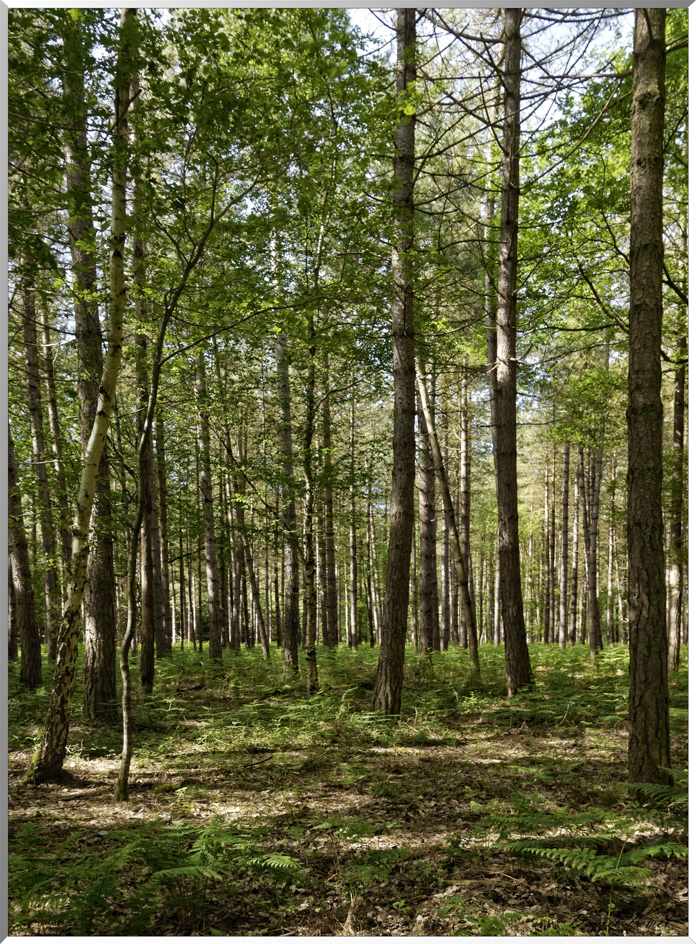 Mézières en Vexin