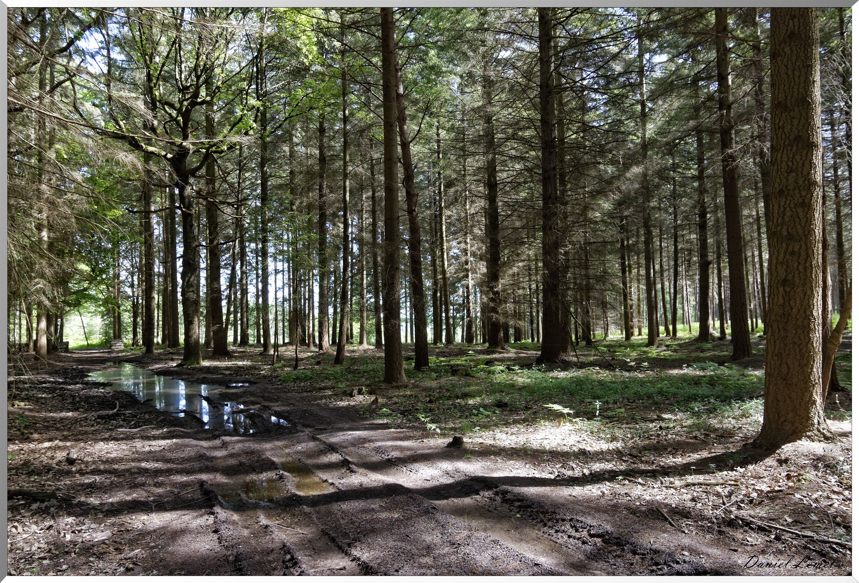 Mézières en Vexin