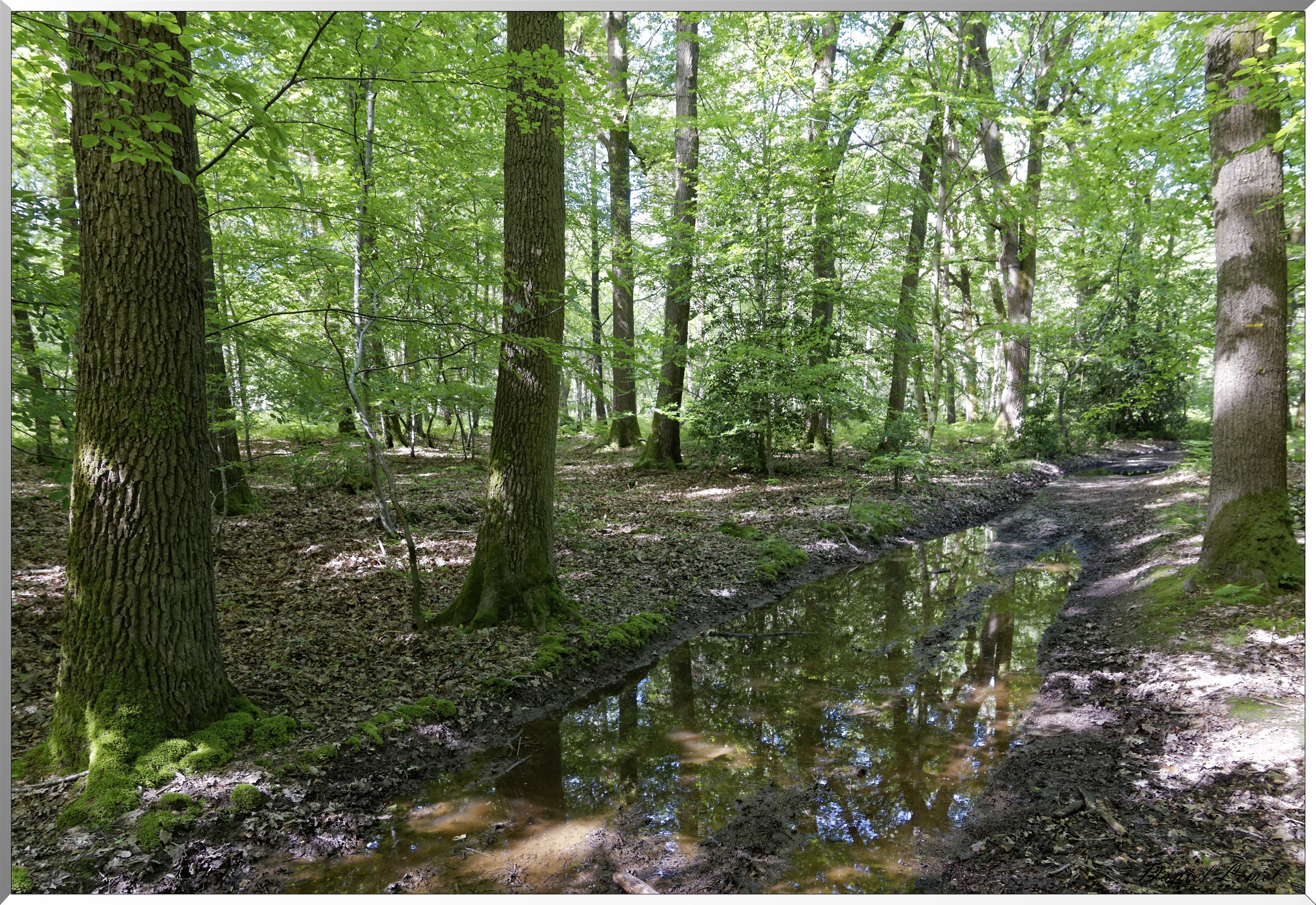 Mézières en Vexin