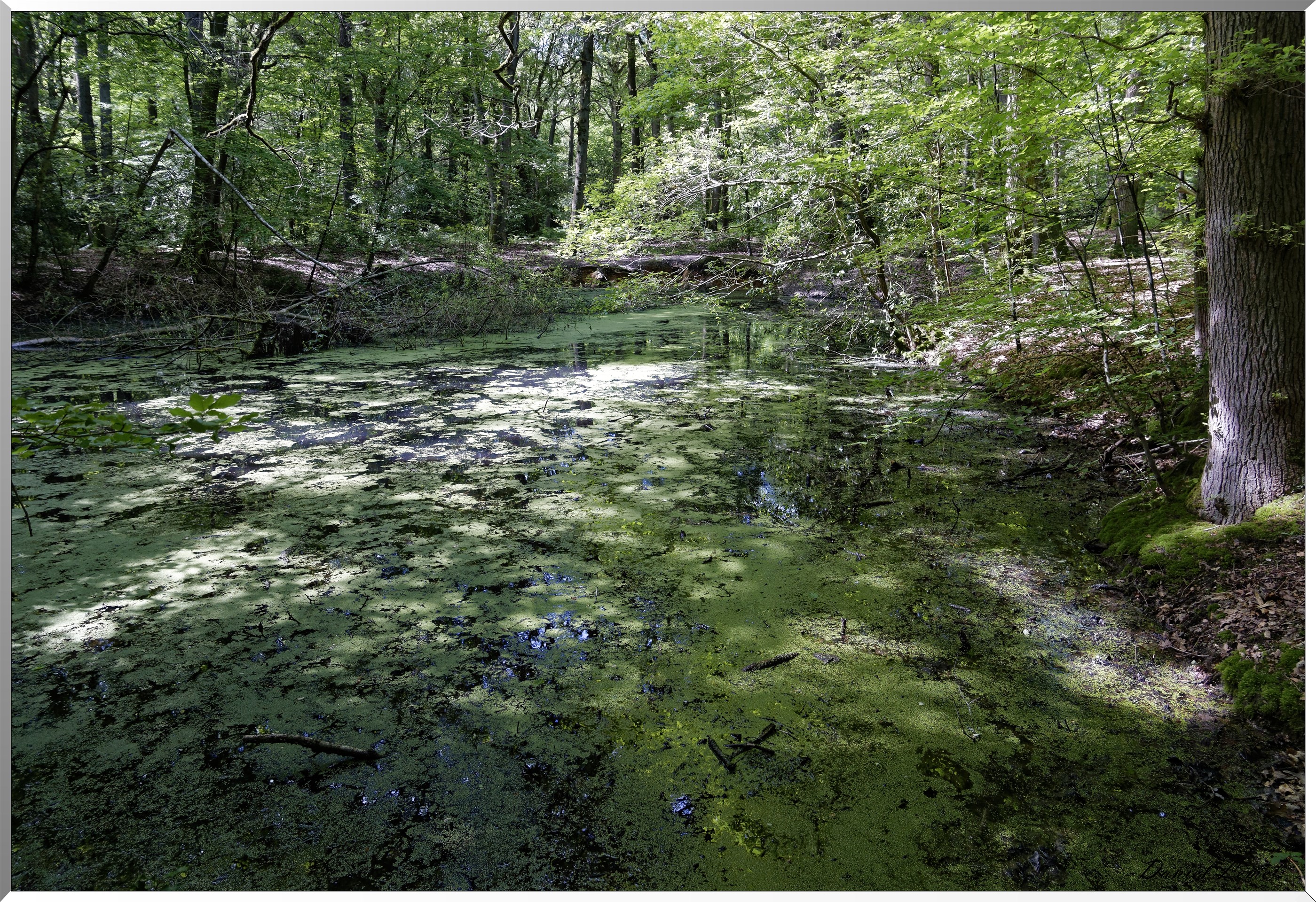 Mézières en Vexin