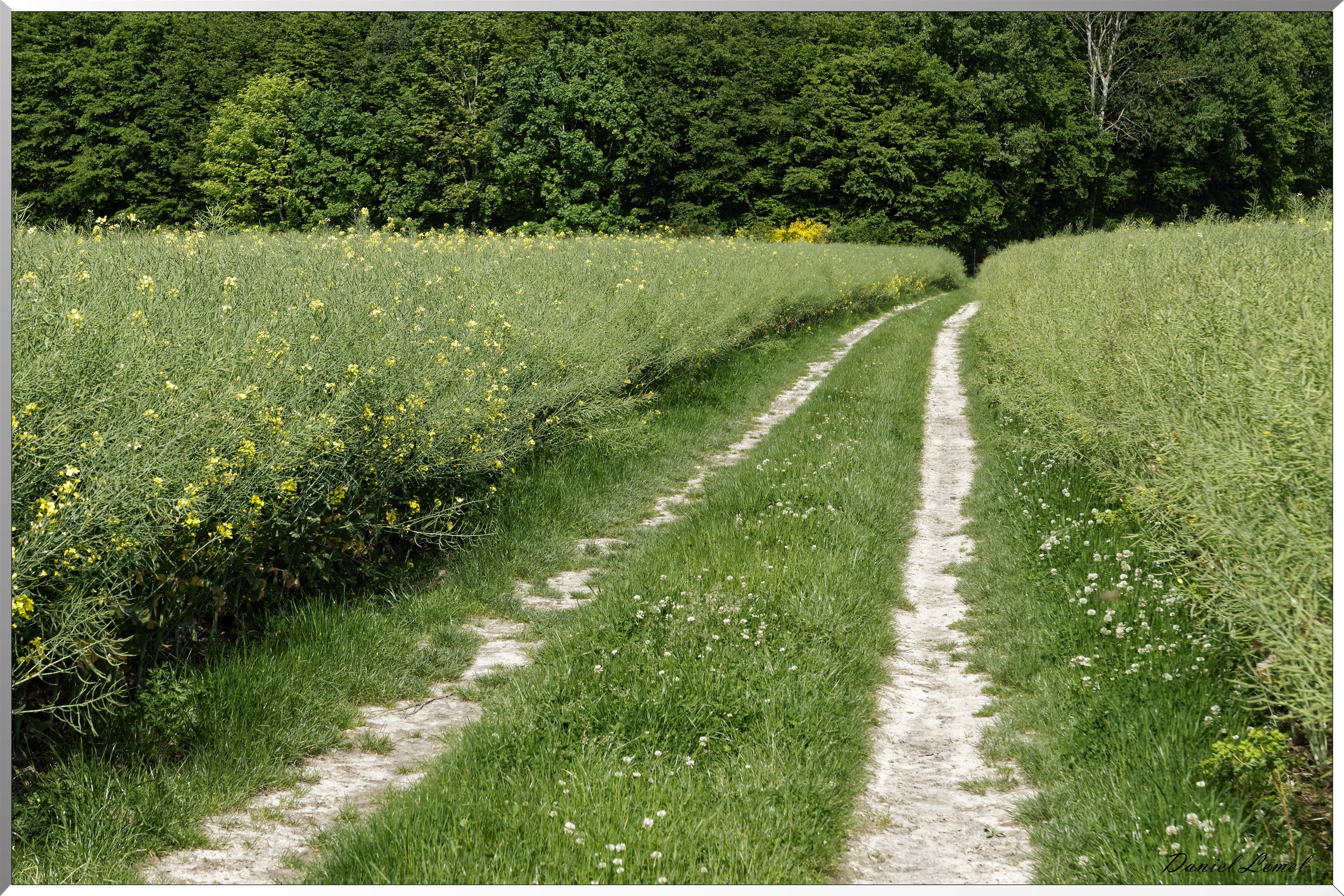 Mézières en Vexin
