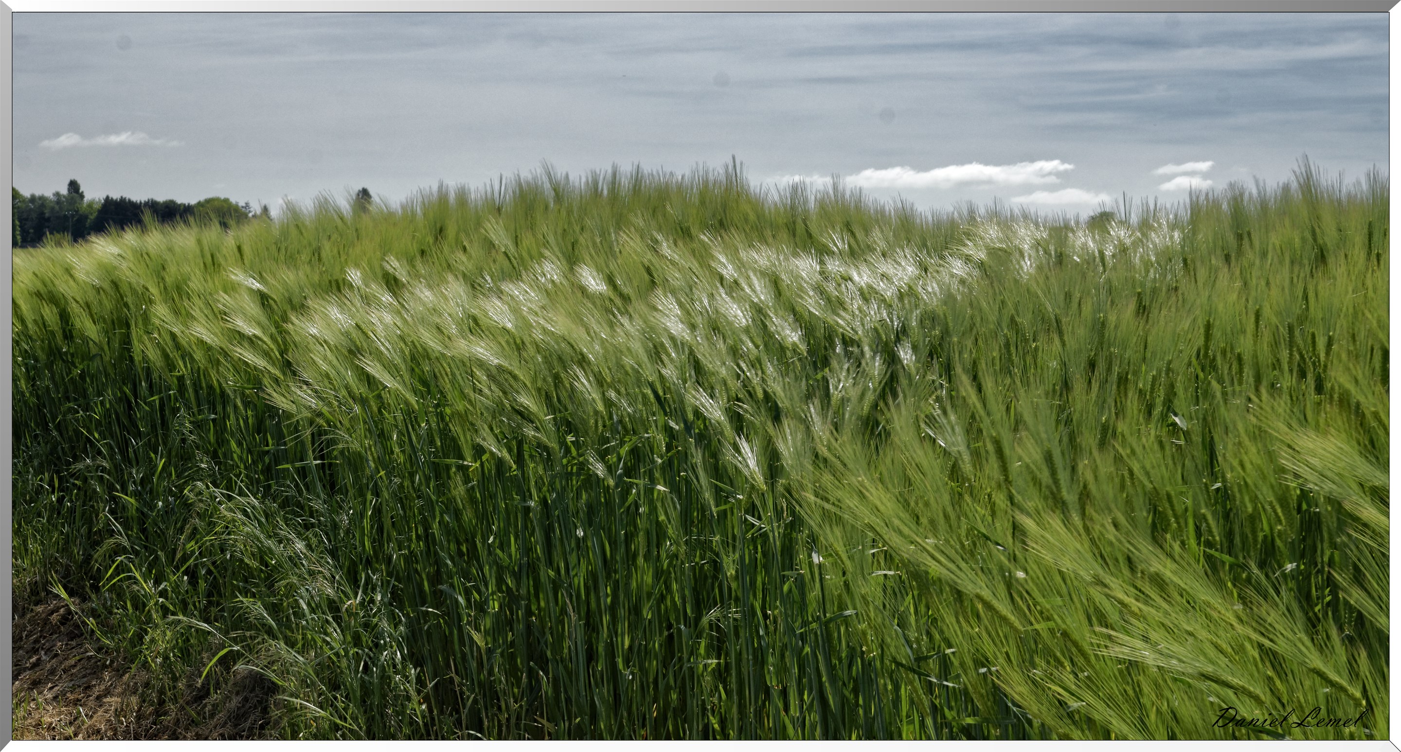 Mézières en Vexin