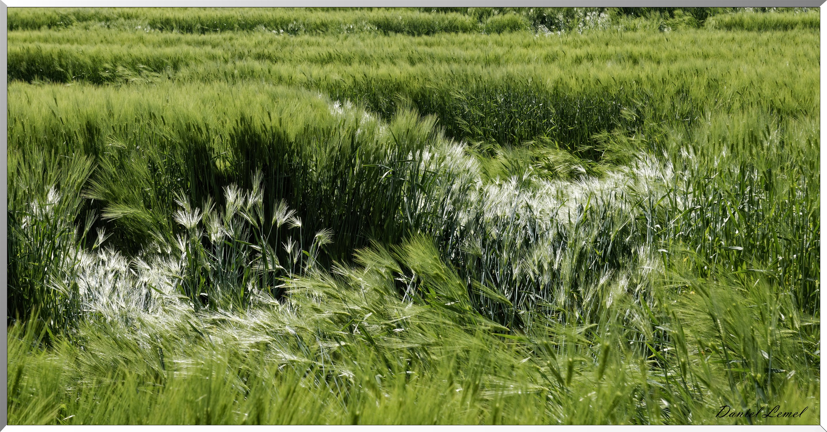 Mézières en Vexin