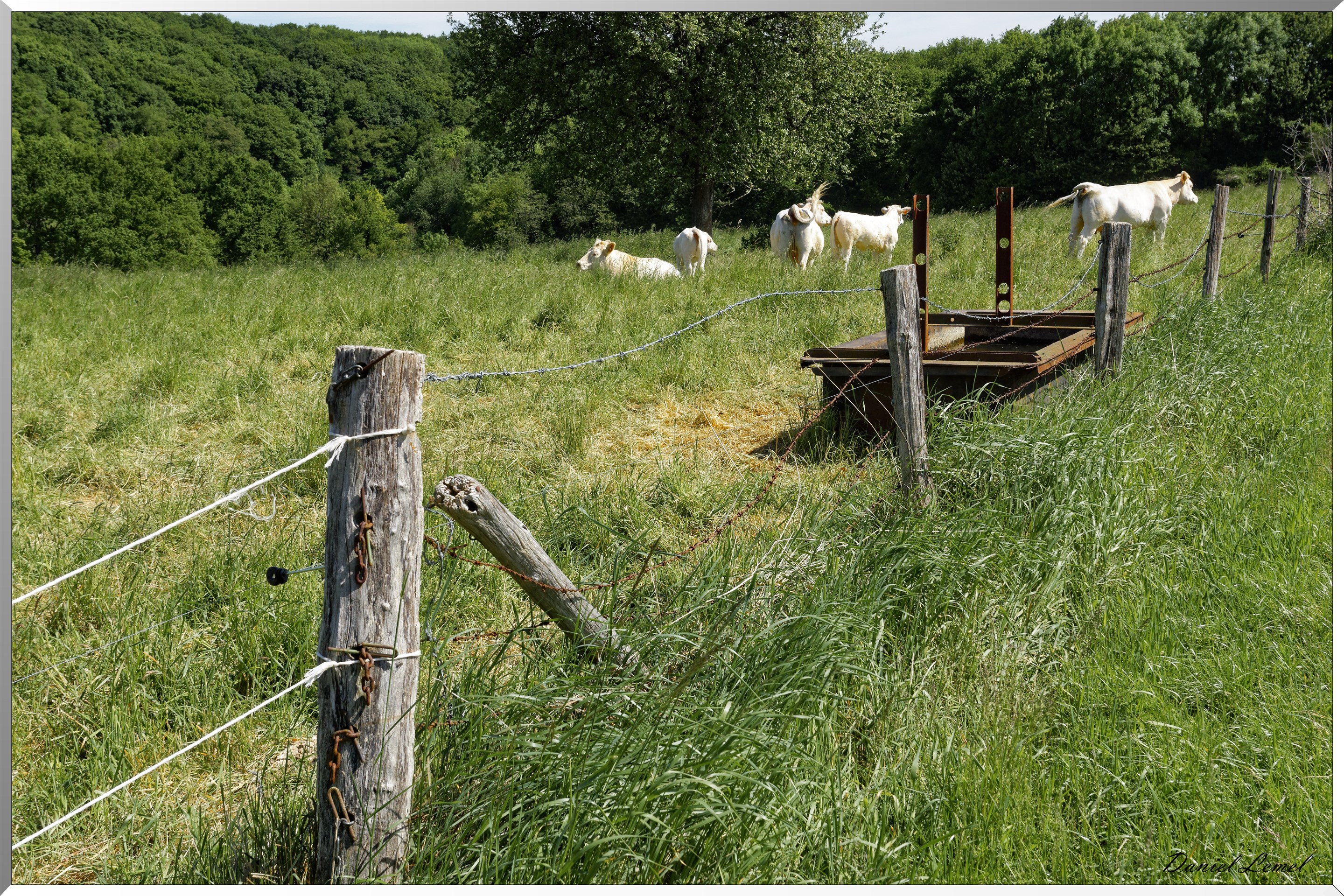Mézières en Vexin