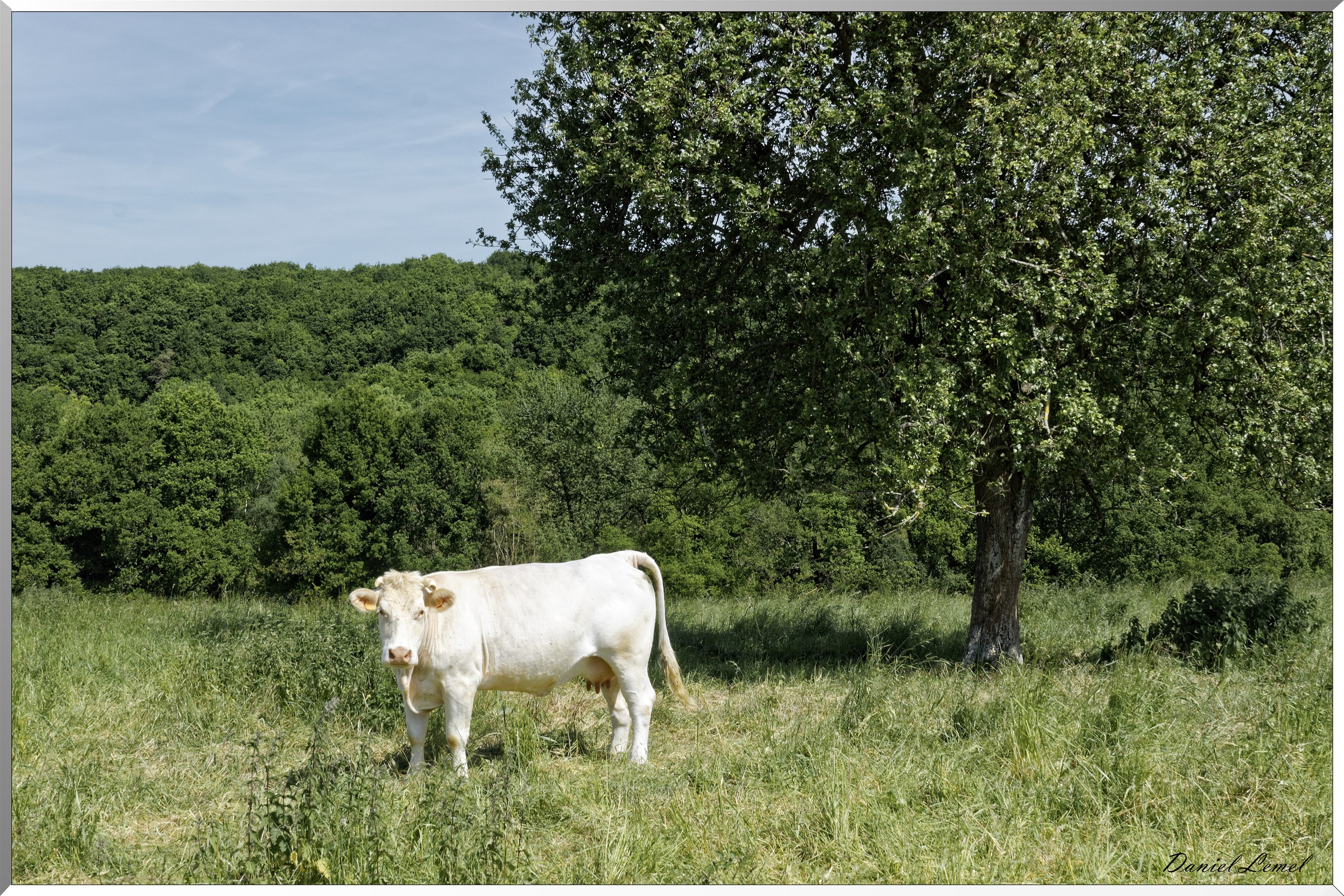 Mézières en Vexin