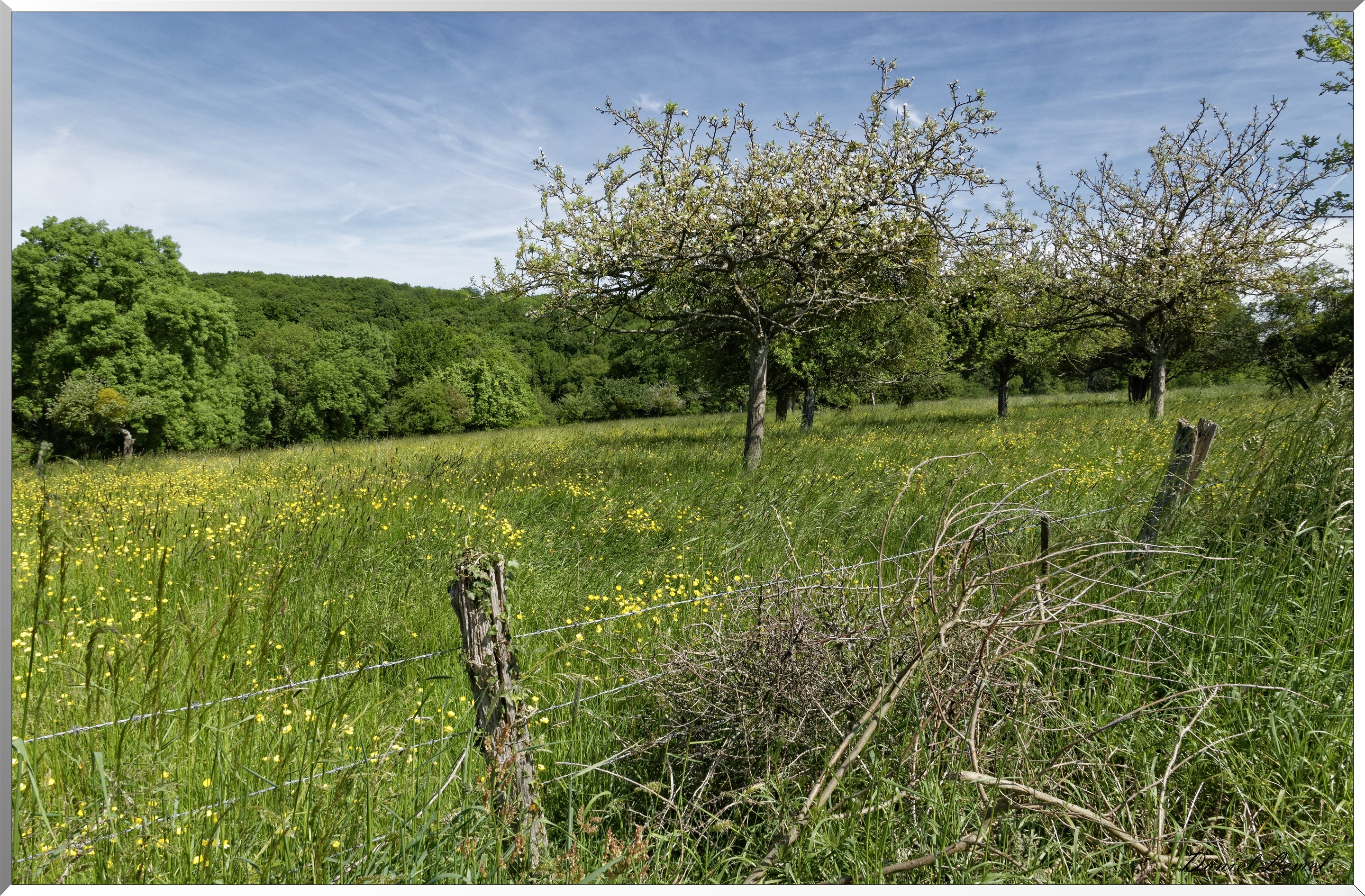 Mézières en Vexin