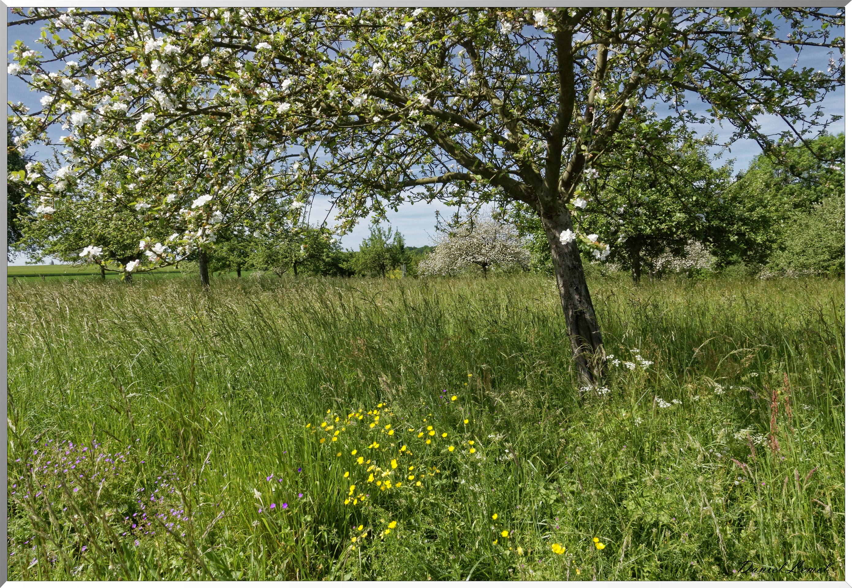 Mézières en Vexin