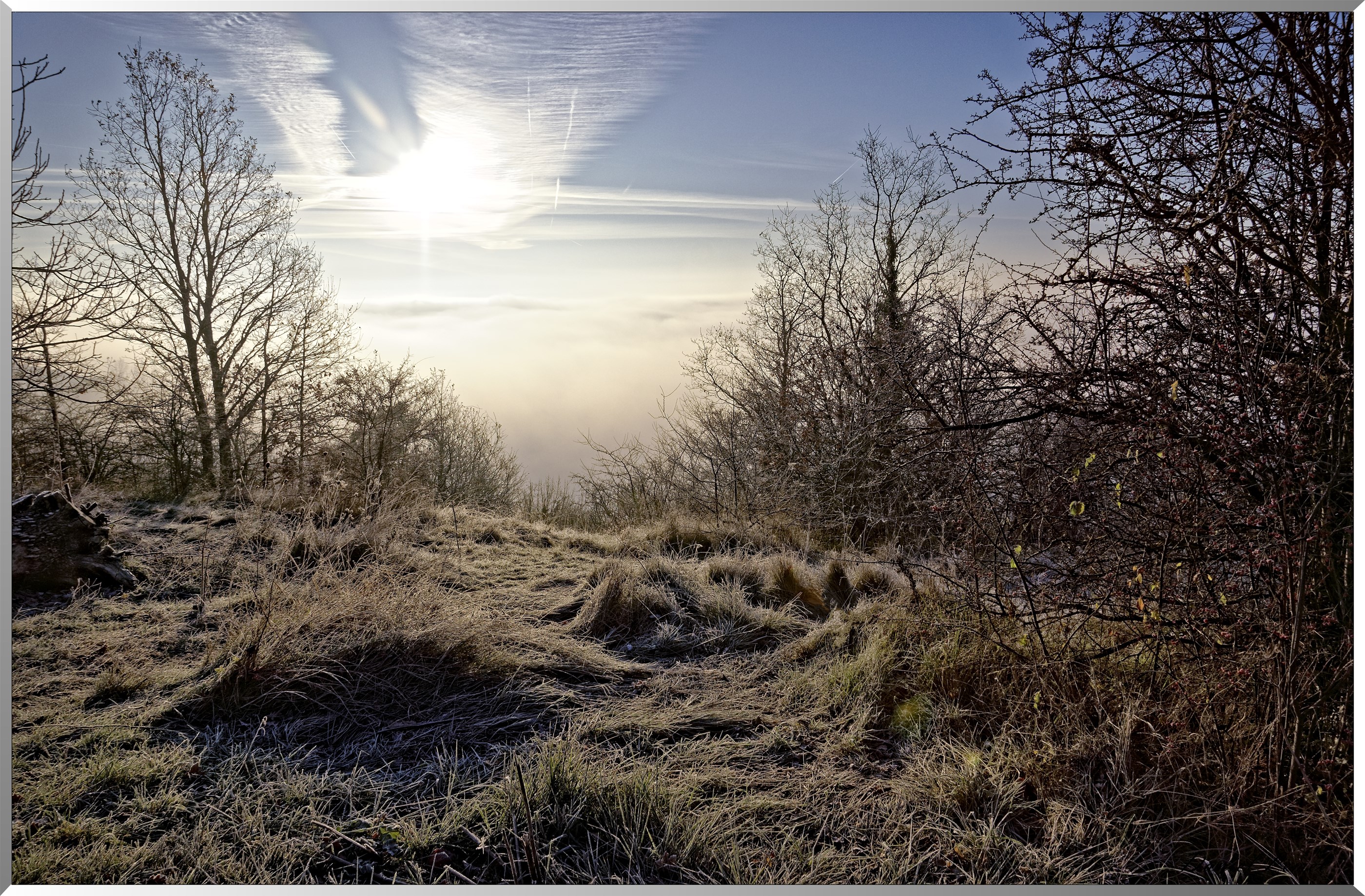Arboretum - La Roche-Guyon