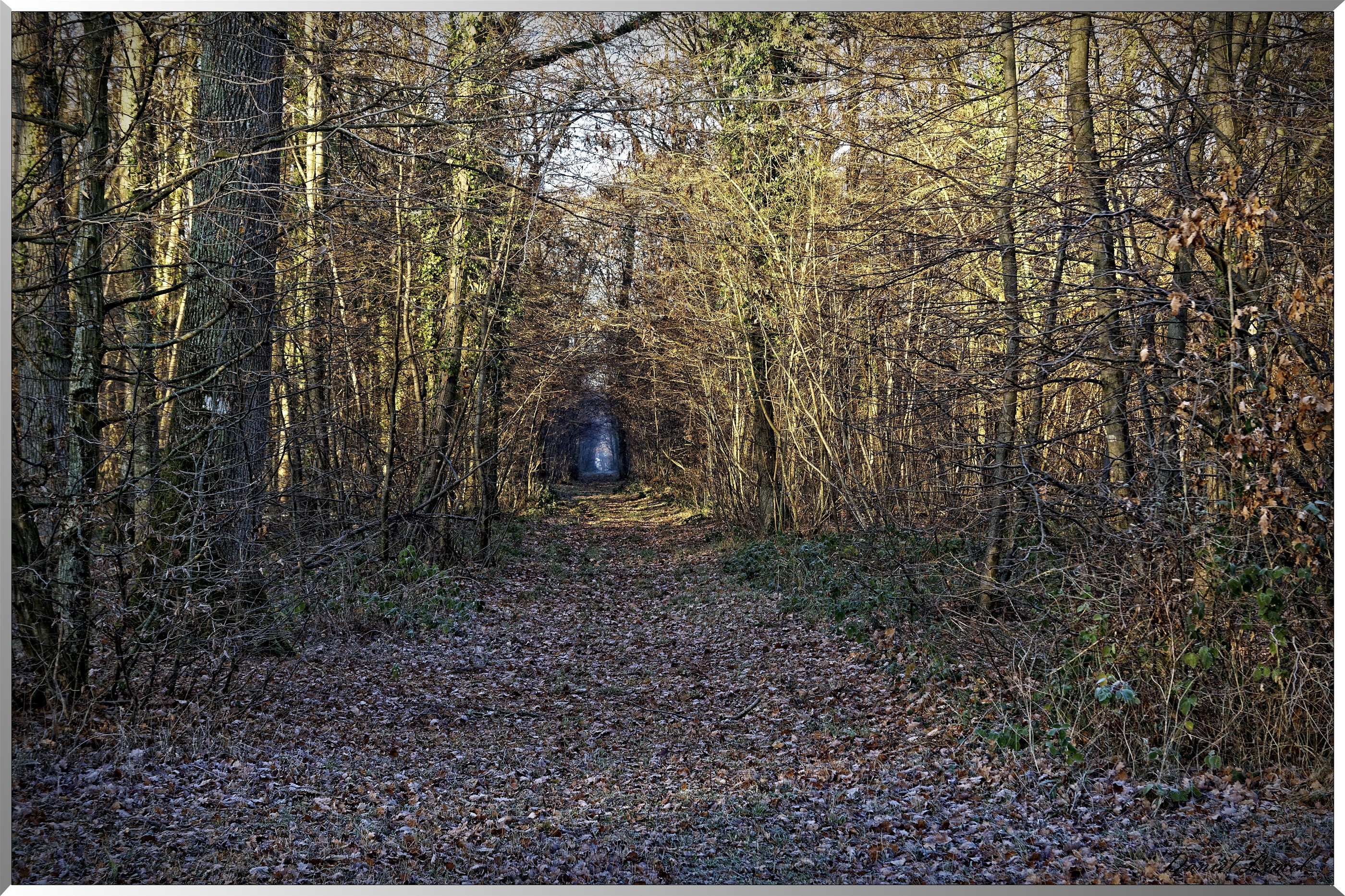 Arboretum - La Roche-Guyon