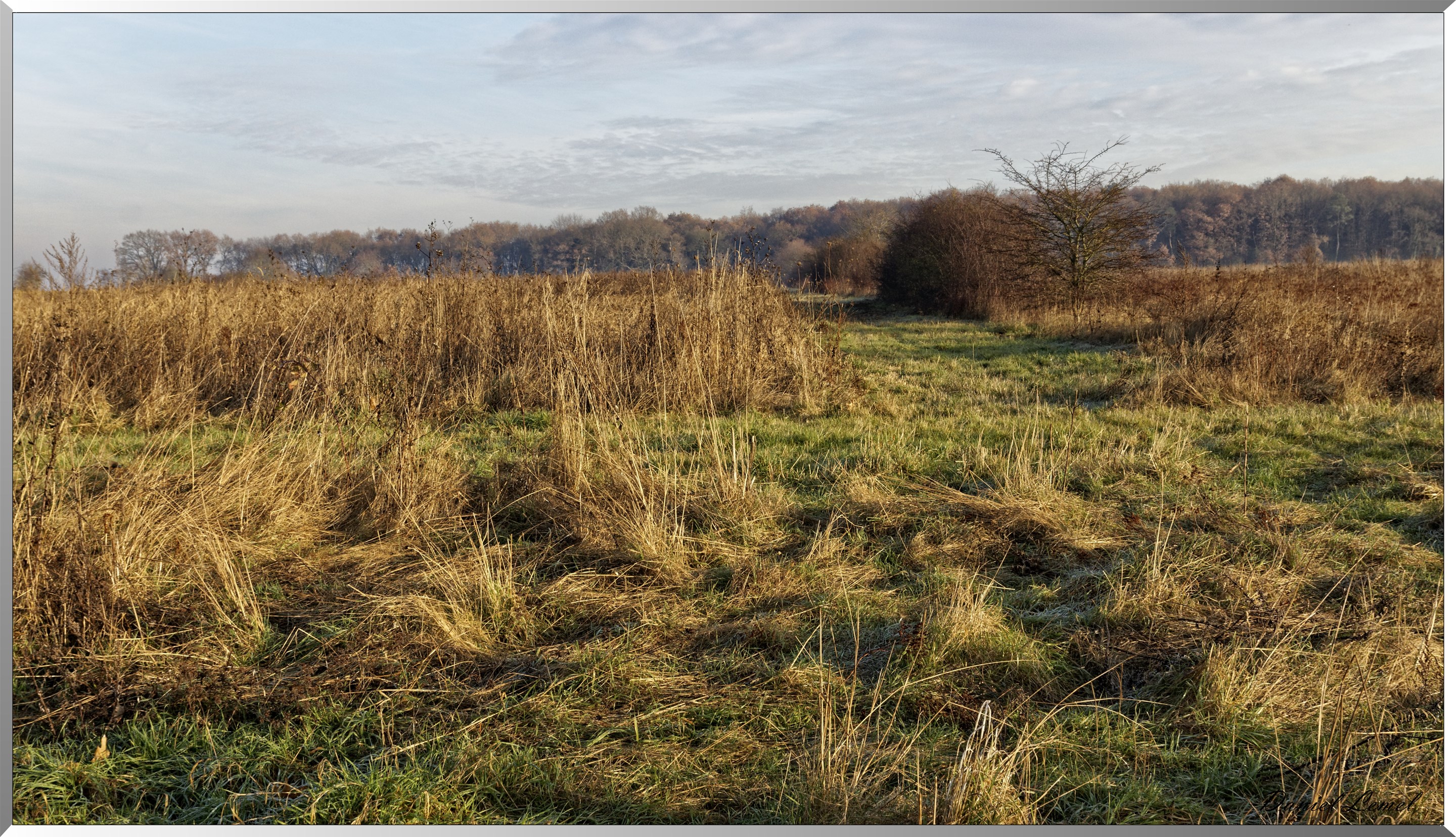 Courcelles-sur-Seine