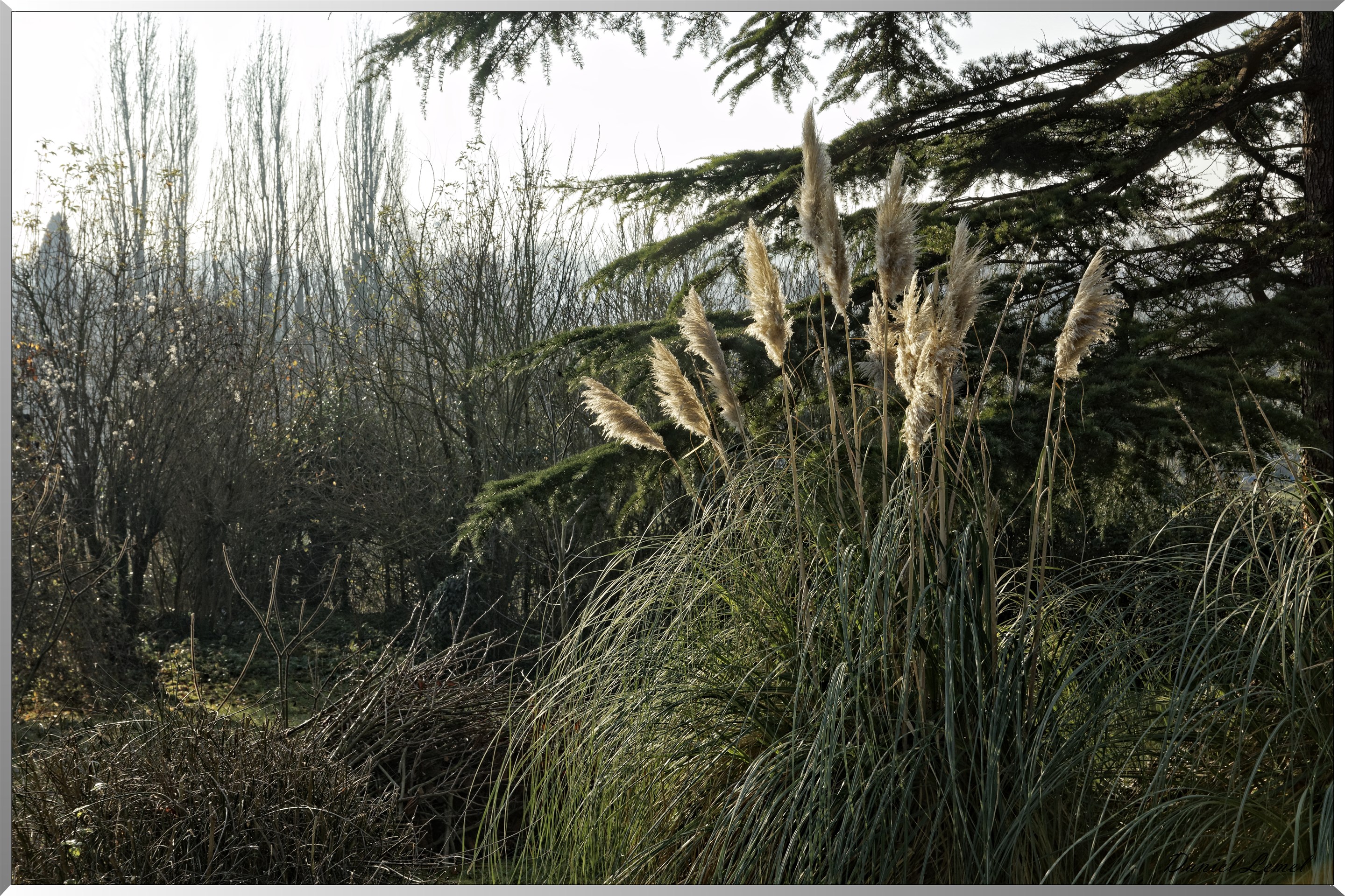 Courcelles-sur-Seine