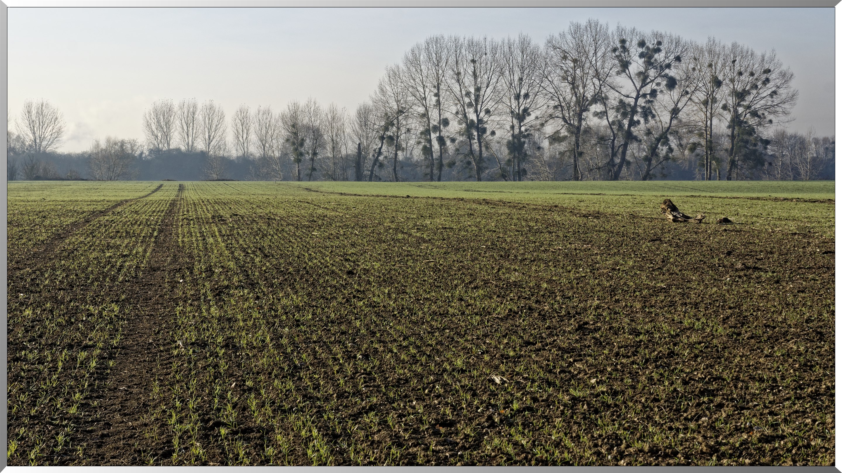 Courcelles-sur-Seine