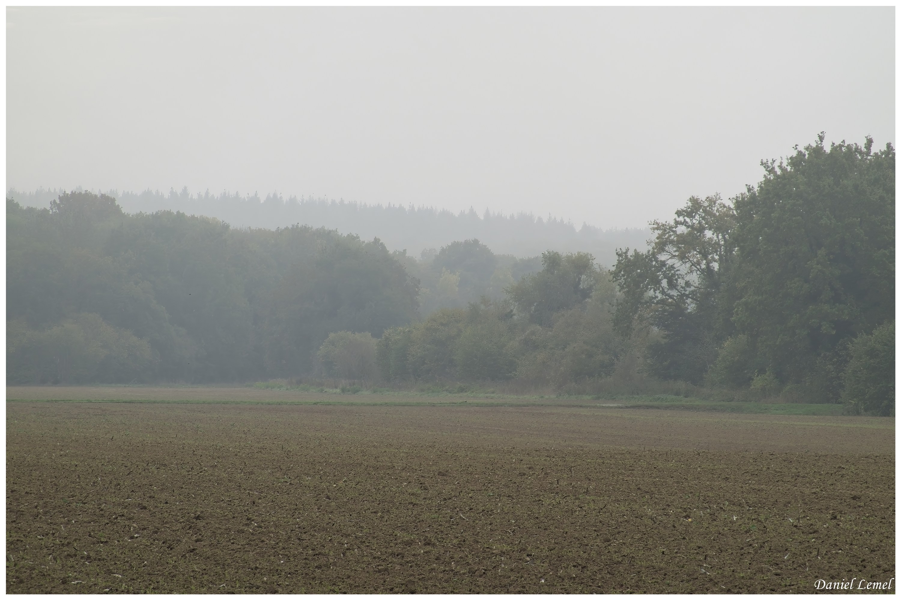  DSC8293W