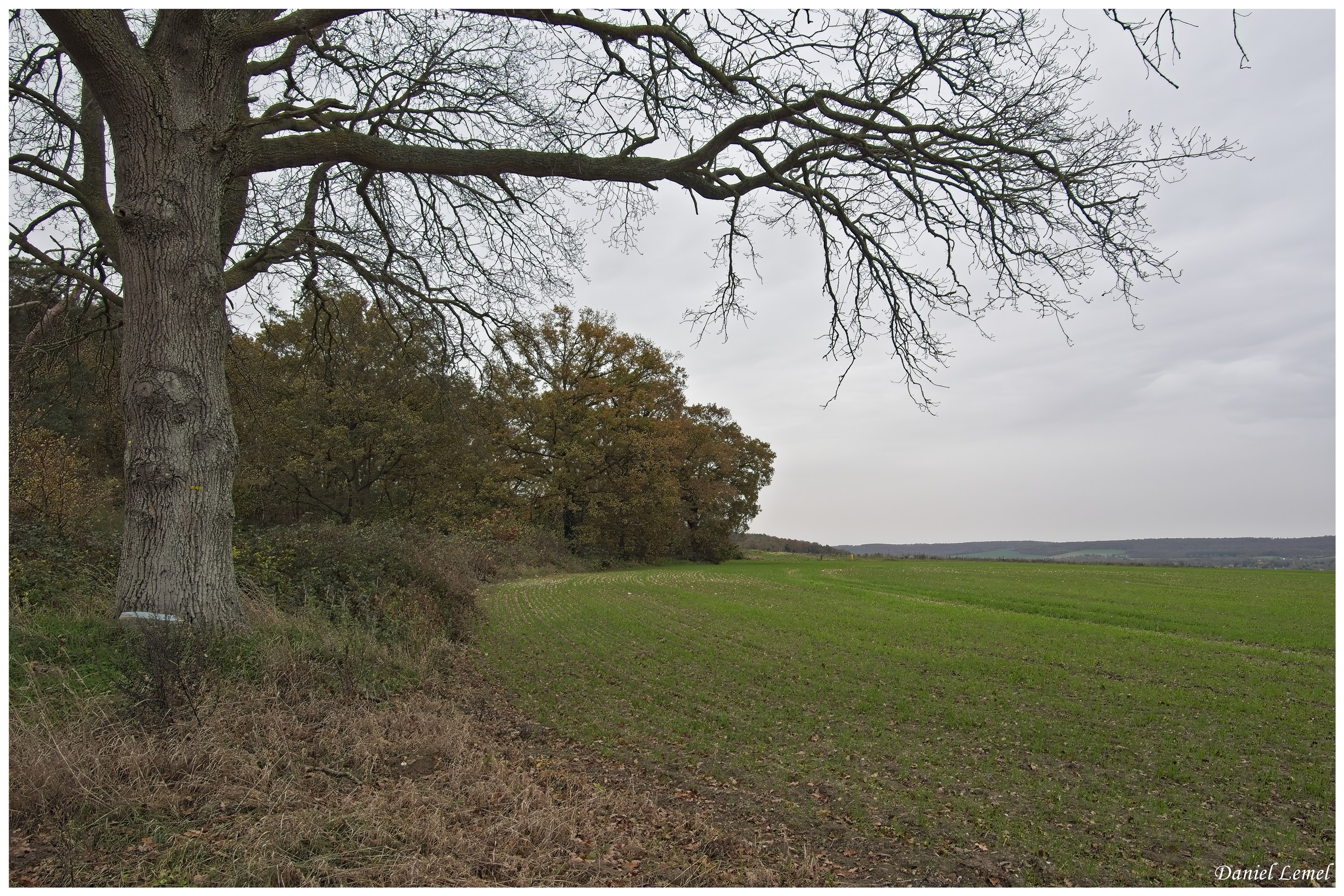  DSC9035W