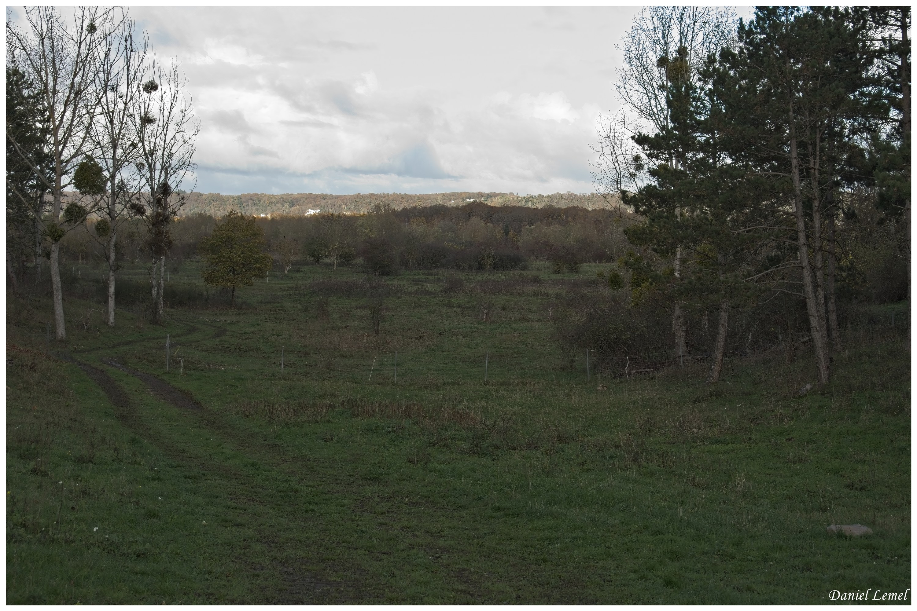  DSC9183W