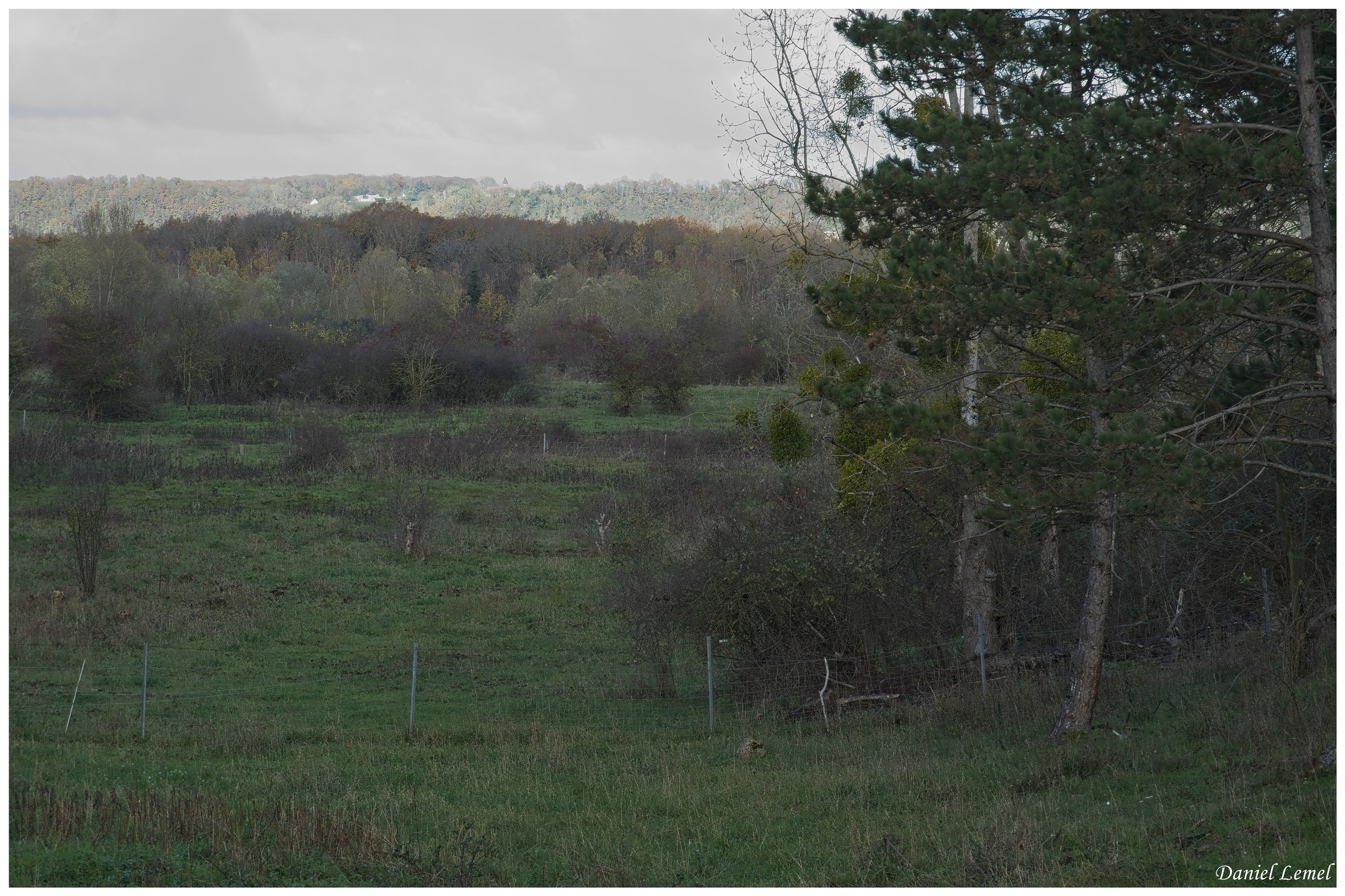  DSC9184W