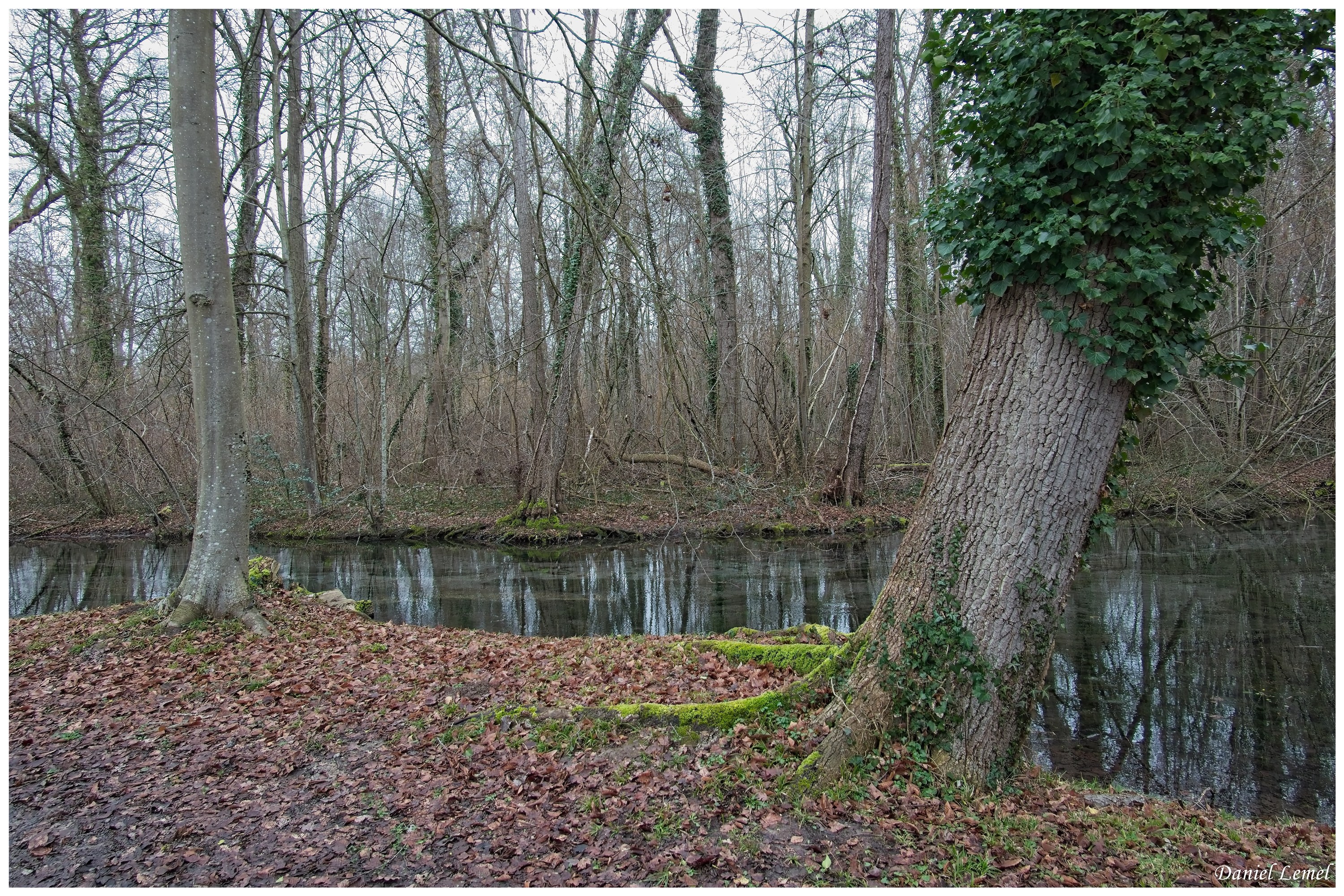  DSC1243W