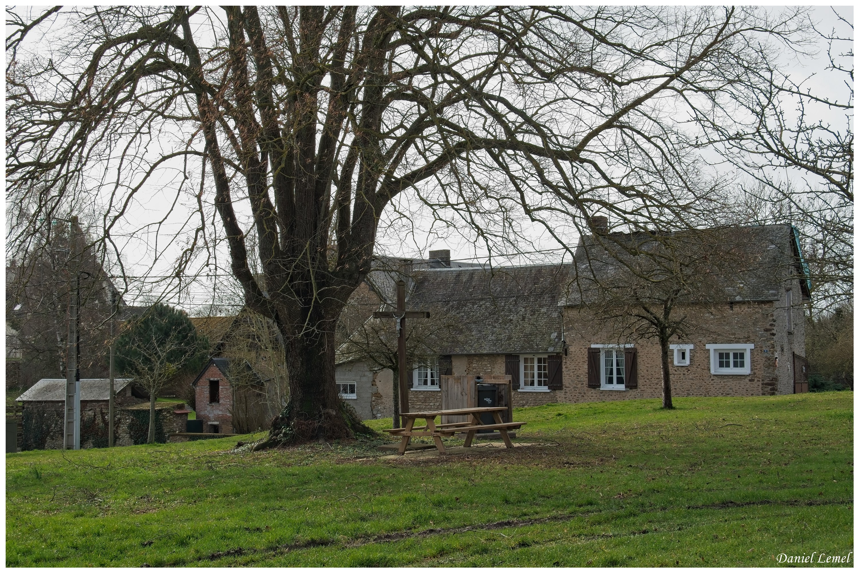  DSC1405W