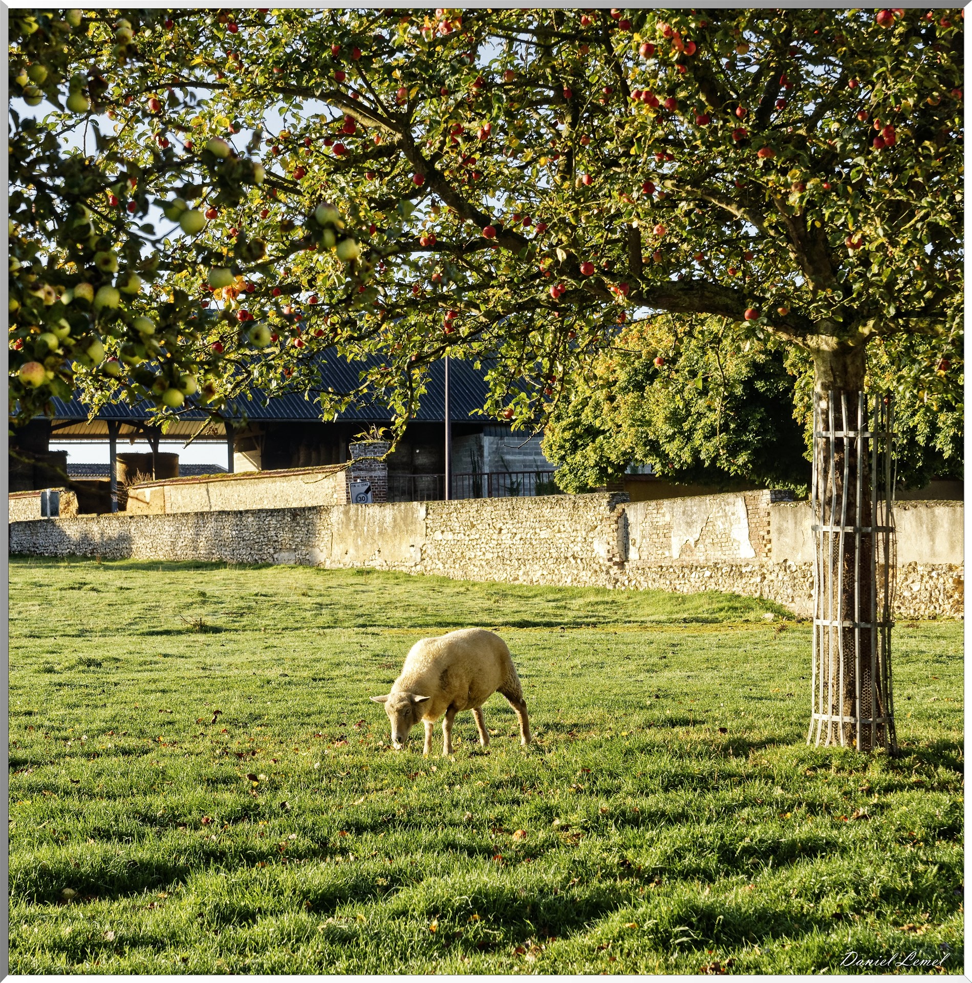 03-10-2017 - Gamaches-en-Vexin