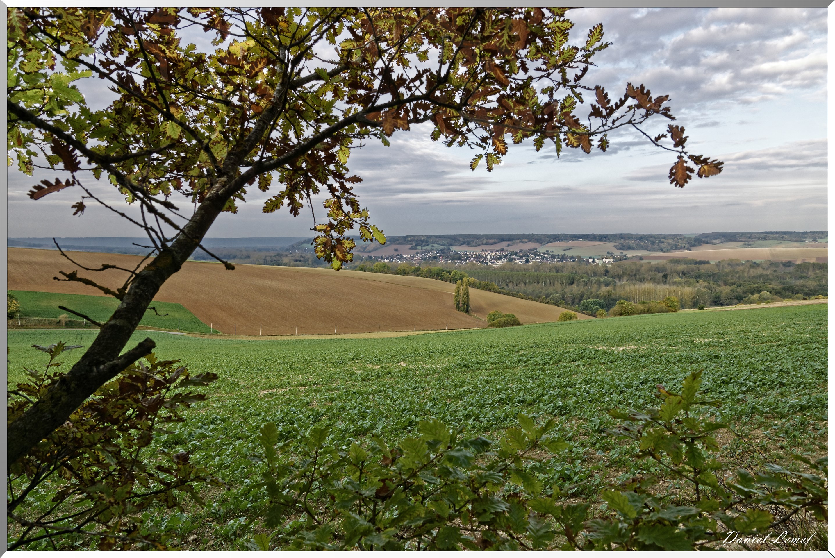 19-10-2017 - Arborétum - La Roche-Guyon